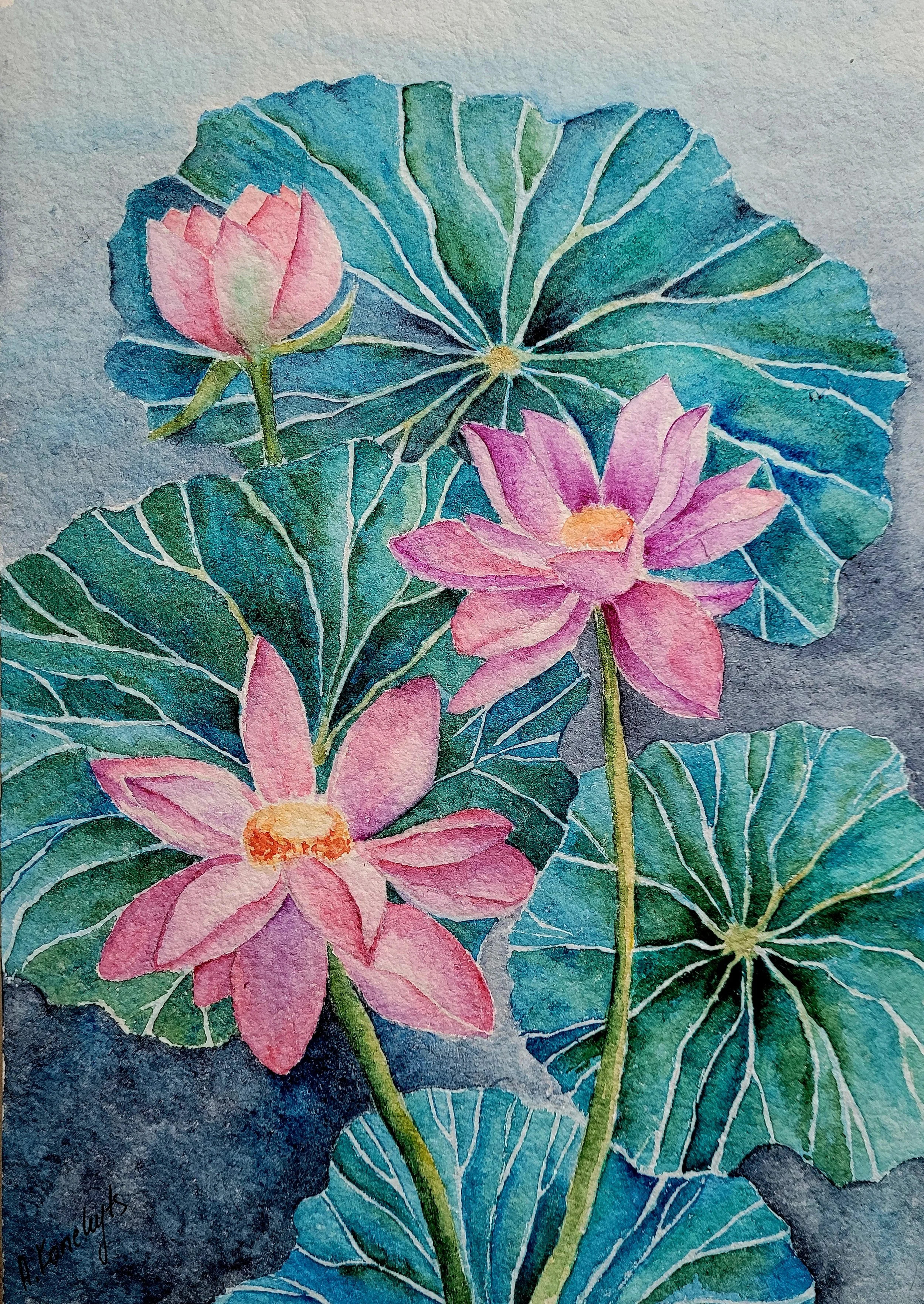 Watercolor painting of pink and purple water lilies with green leaves on a gray background.