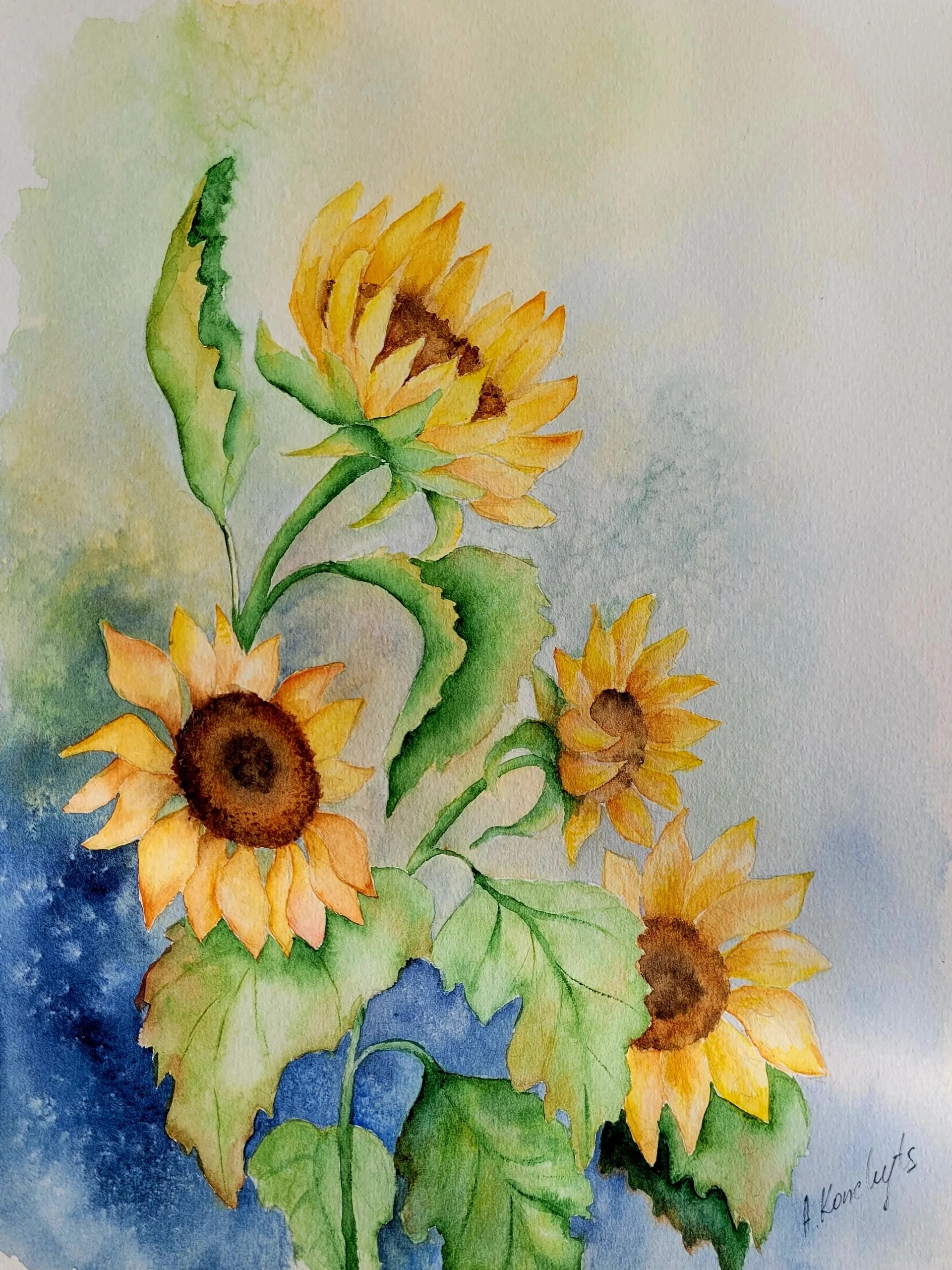 Watercolor painting of four sunflowers with green leaves on a multicolored background.