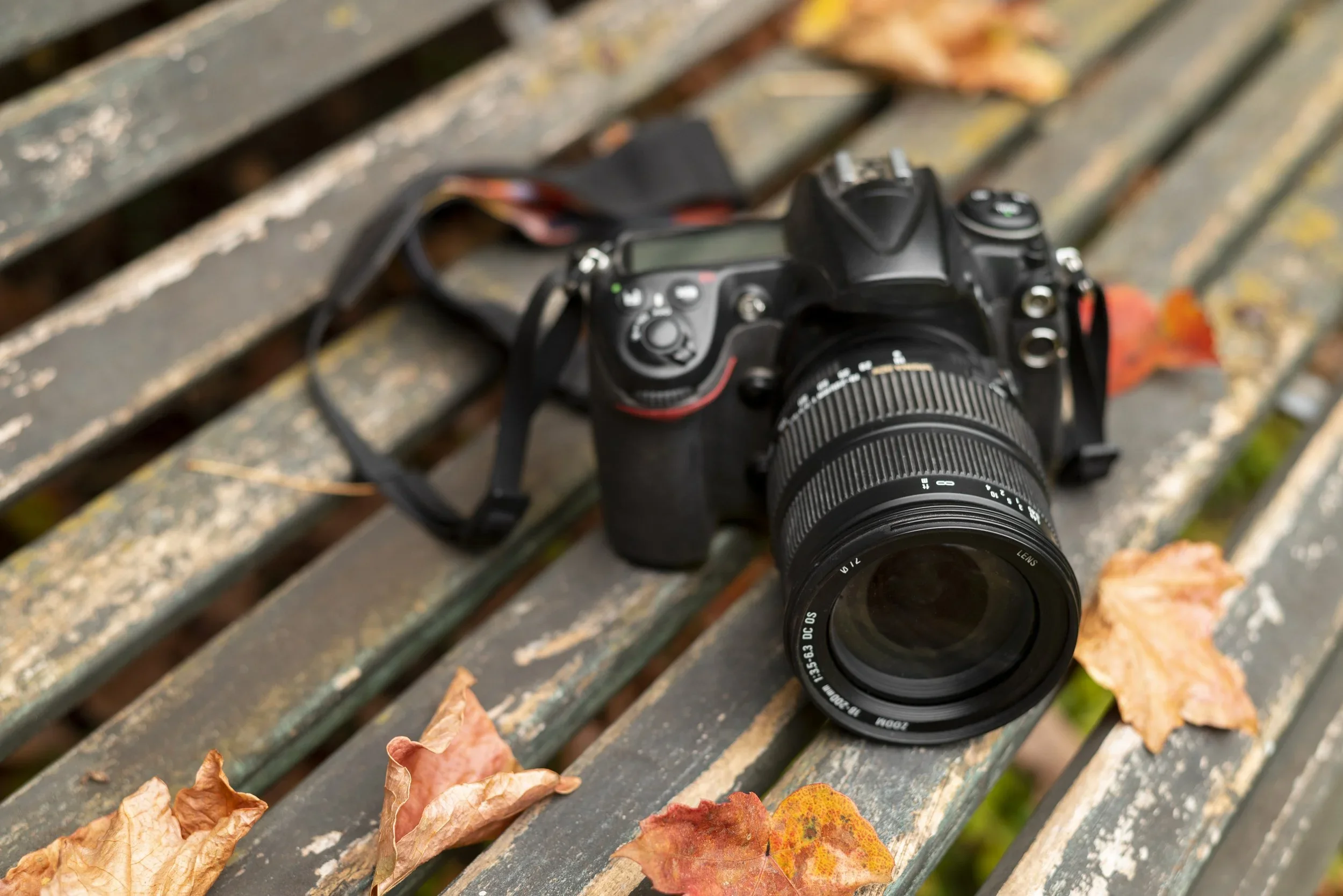 Getting Started in Motorsport Photography on a Budget