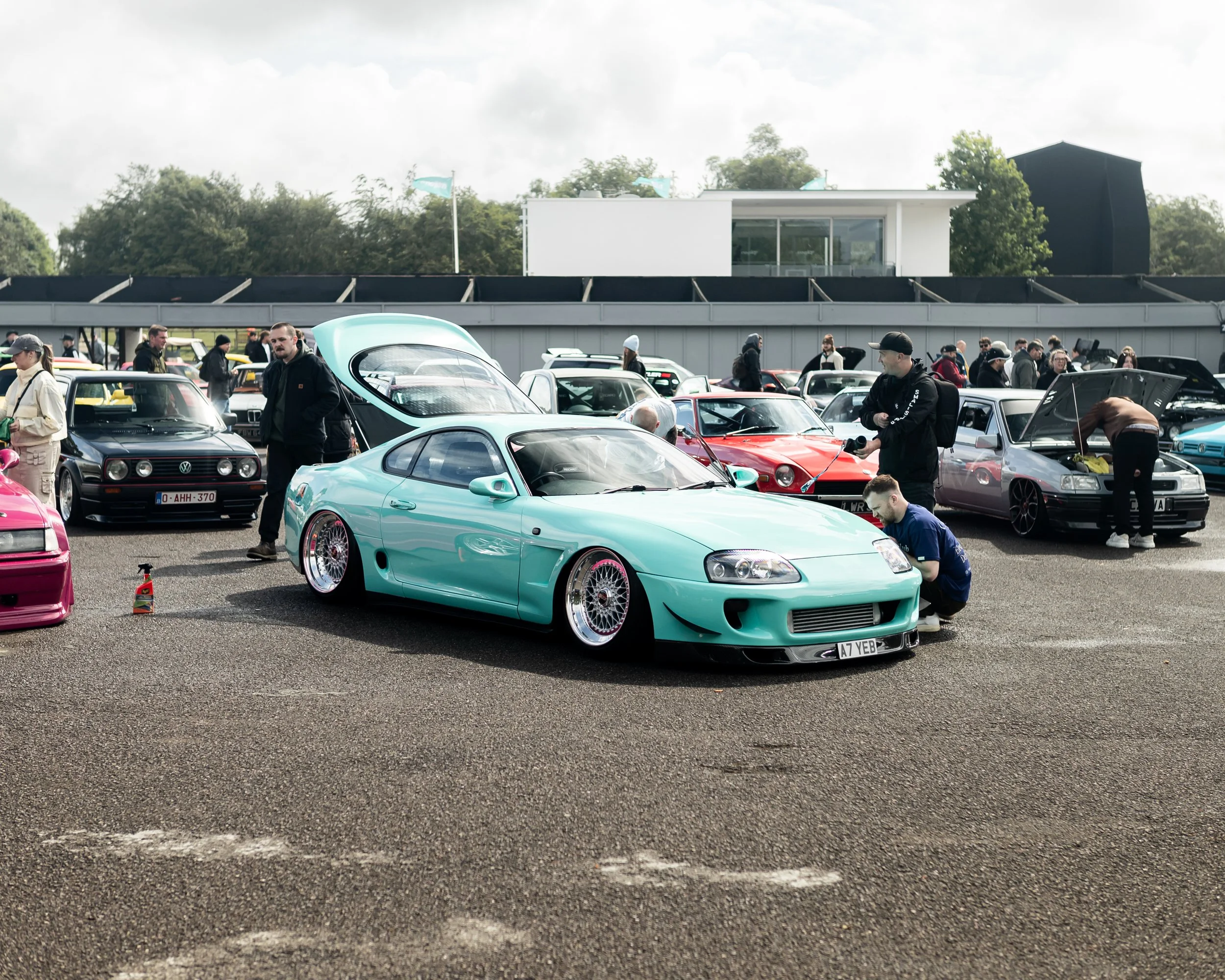 3A3A6238.jpg