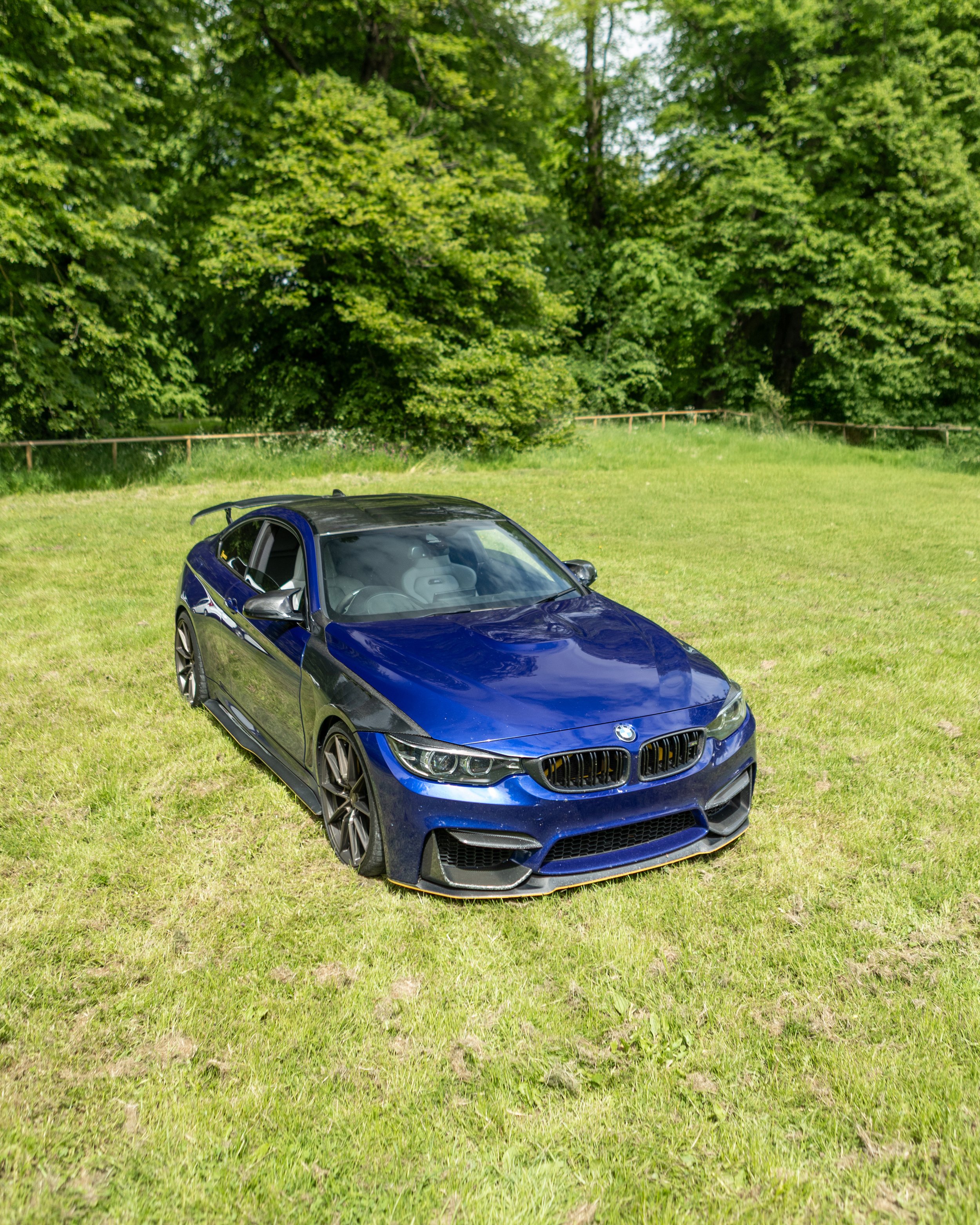 3A3A4170.jpg