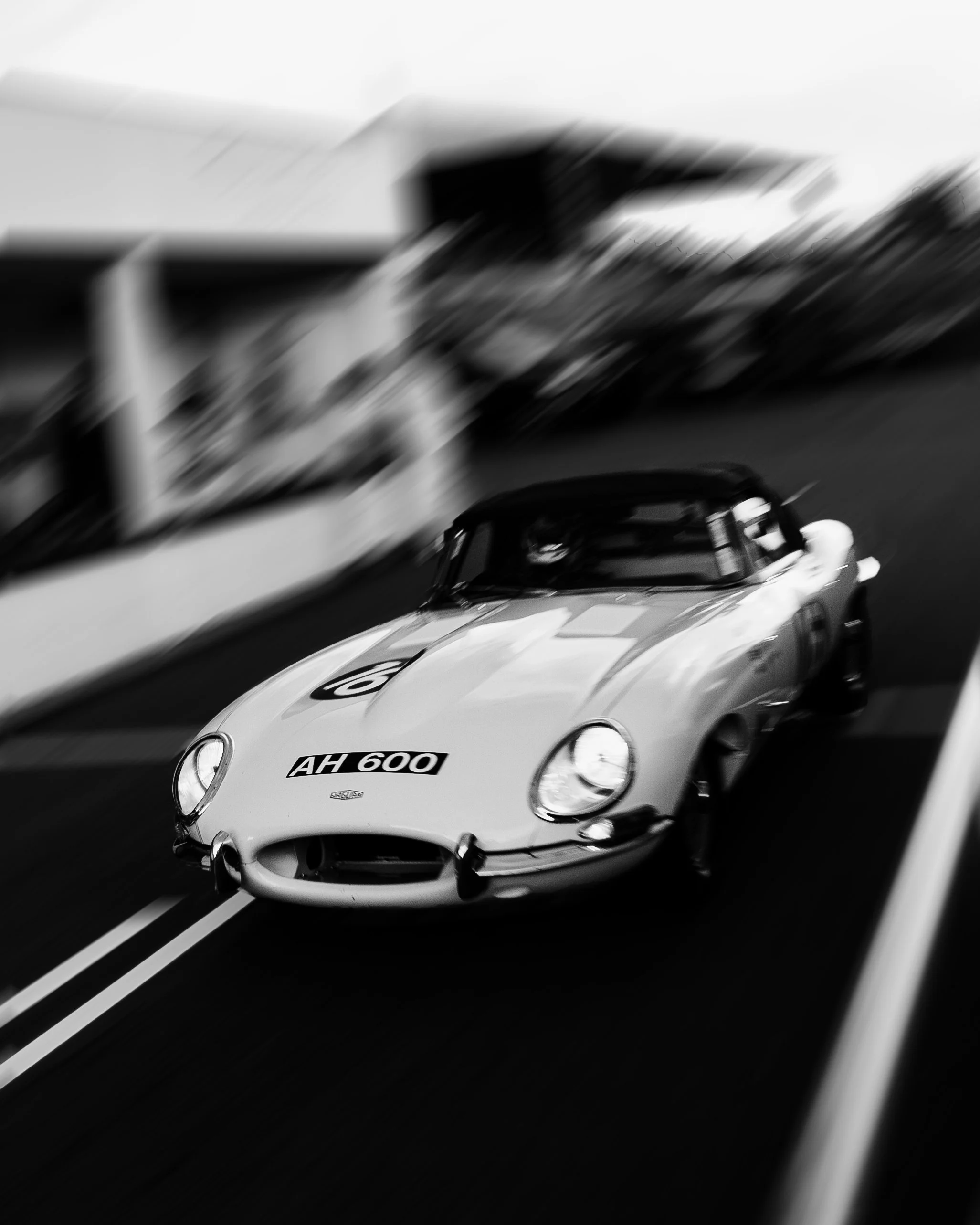 3A3A2516.jpg