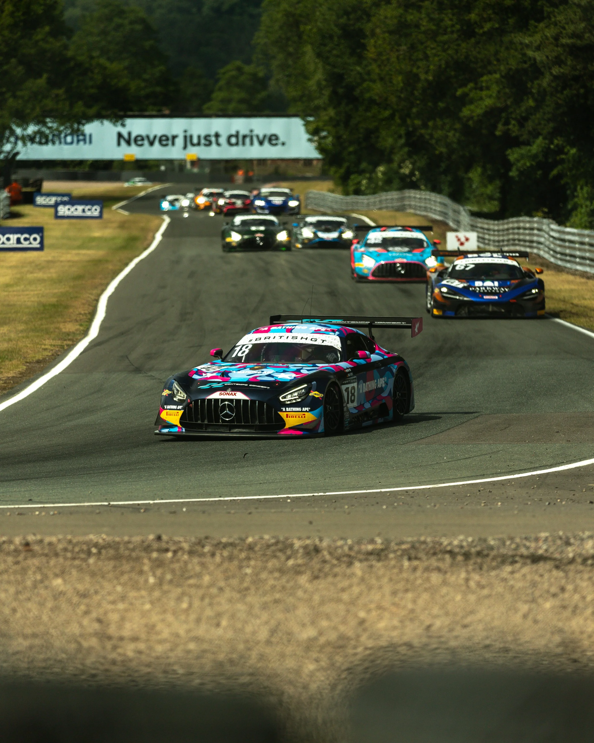 3A3A7443.jpg