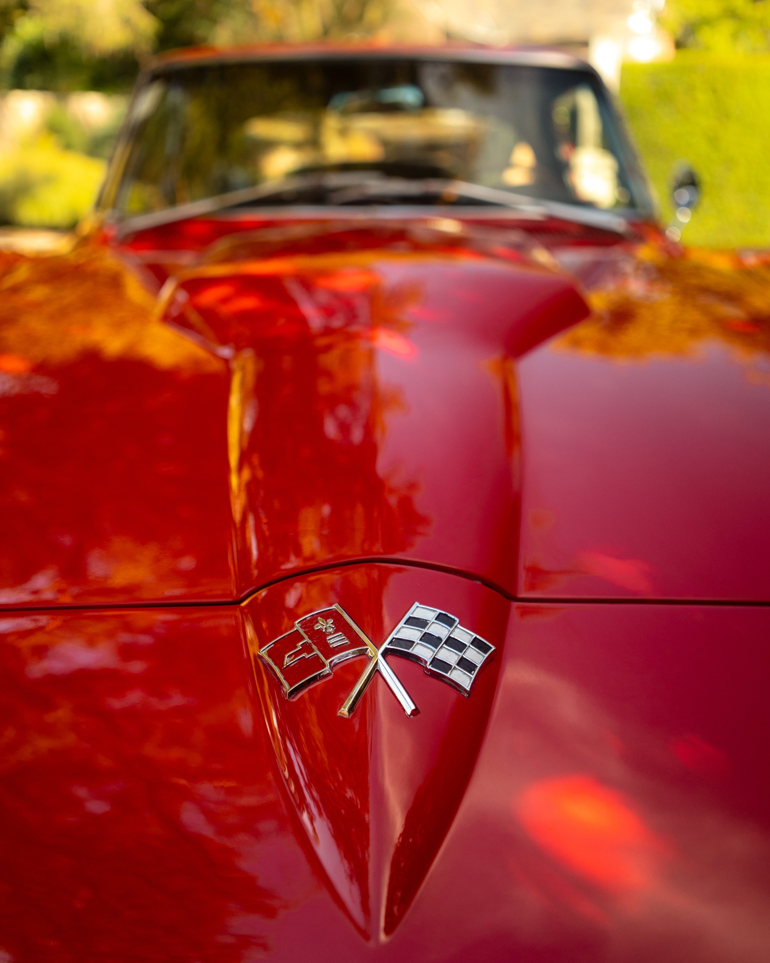 3A3A5918.jpg