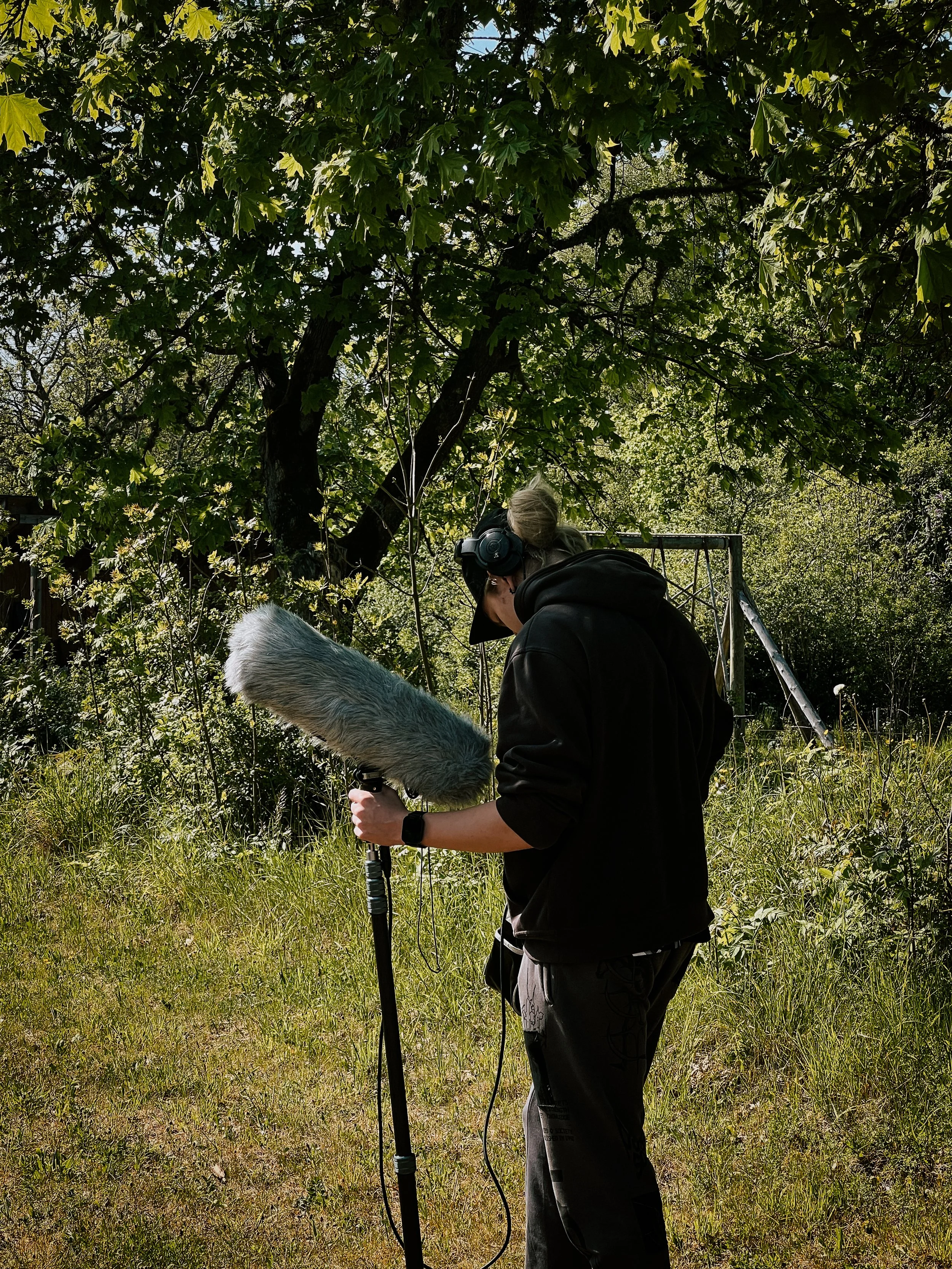 Person operating a professional film or audio recording microphone outdoors in a grassy area with trees.