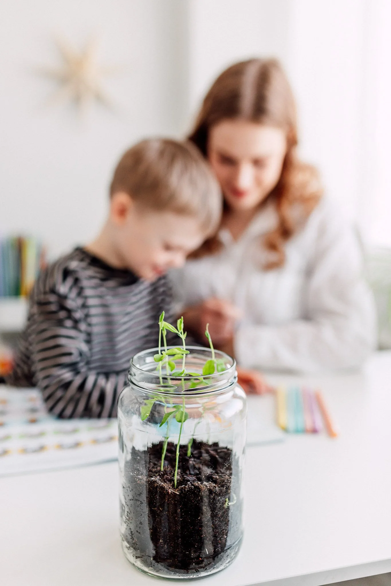 Puheterapeutti ja kuusivuotias asiakas harjoittelevat tunnetaitoja sekä värejä. Kuvassa on purkki, jossa kasvaa pieniä taimia, ja taustalla aikuinen ja lapsi, jotka katsovat kasveja.