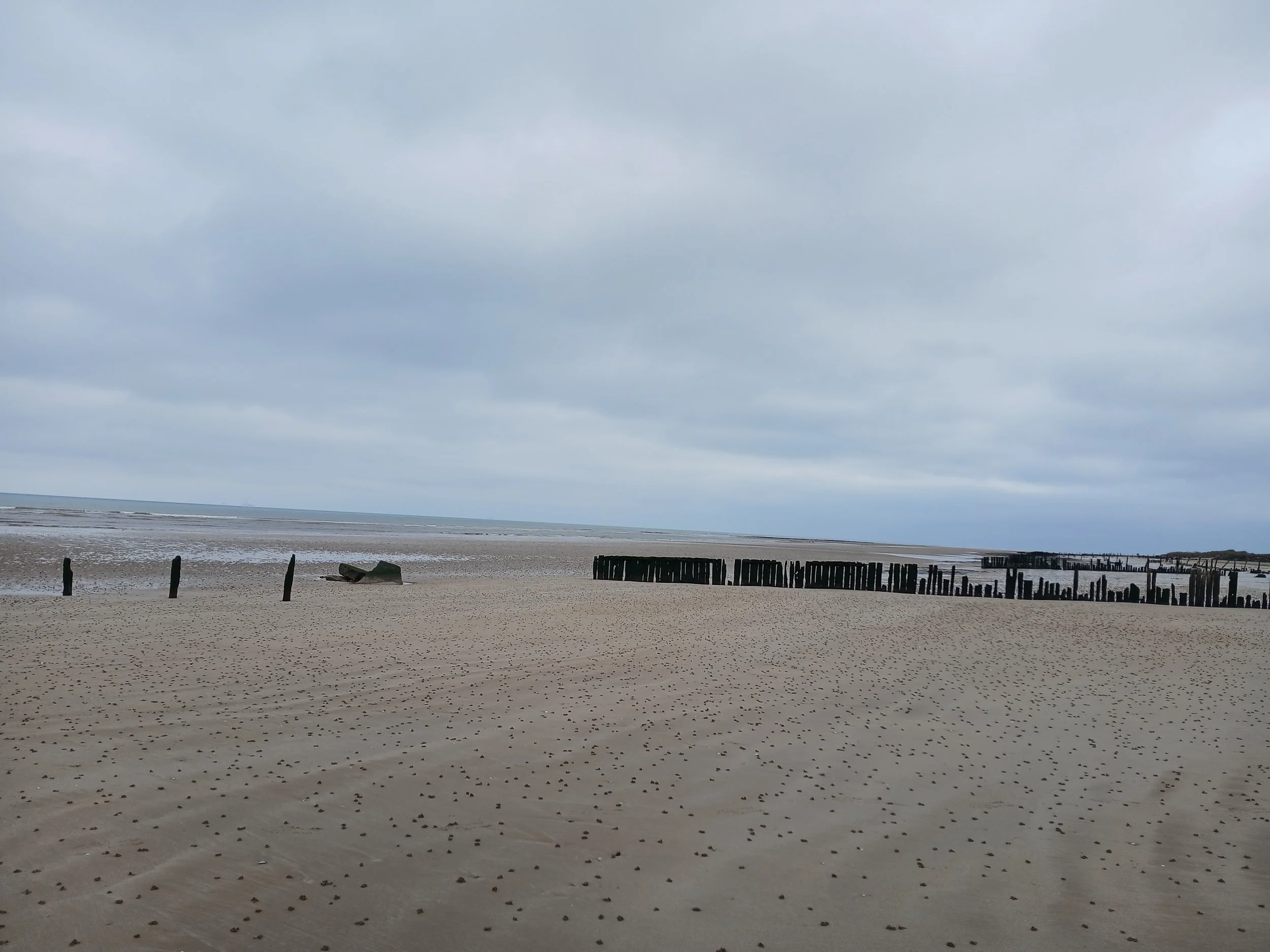 Empty beach with wooden breakwater posts and cloudy sky.
