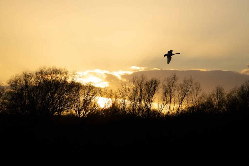 Sunset BrandonMarsh 03.jpg