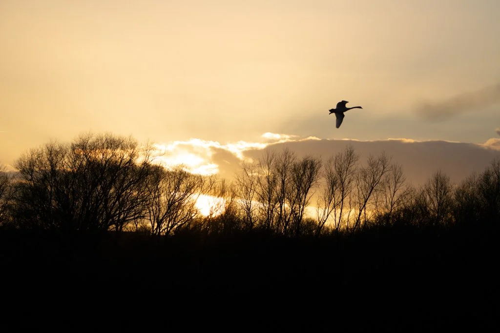 Sunset BrandonMarsh 02.jpg