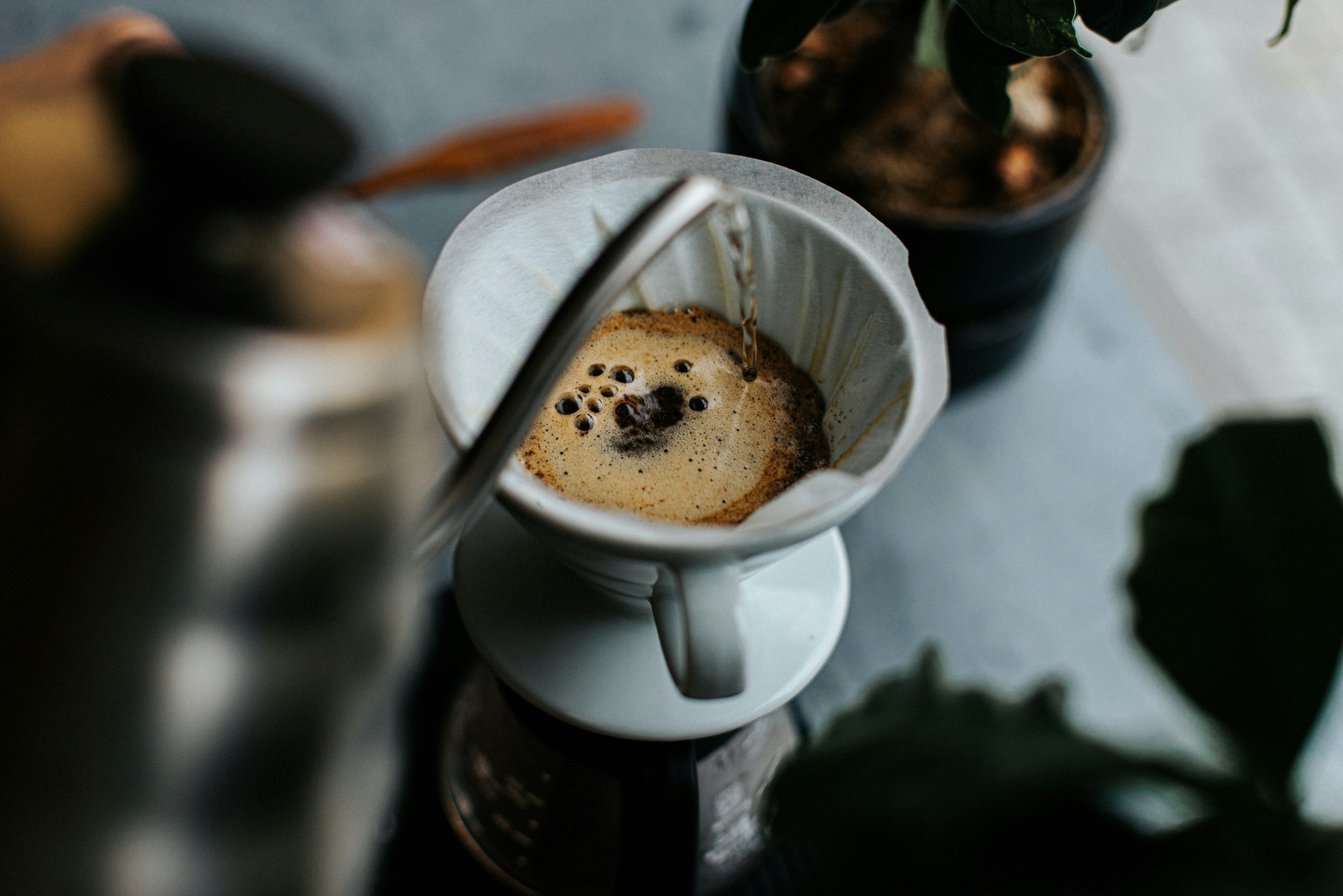 Pouring hot water through a coffee filter into a white mug, with potted plants in the background.