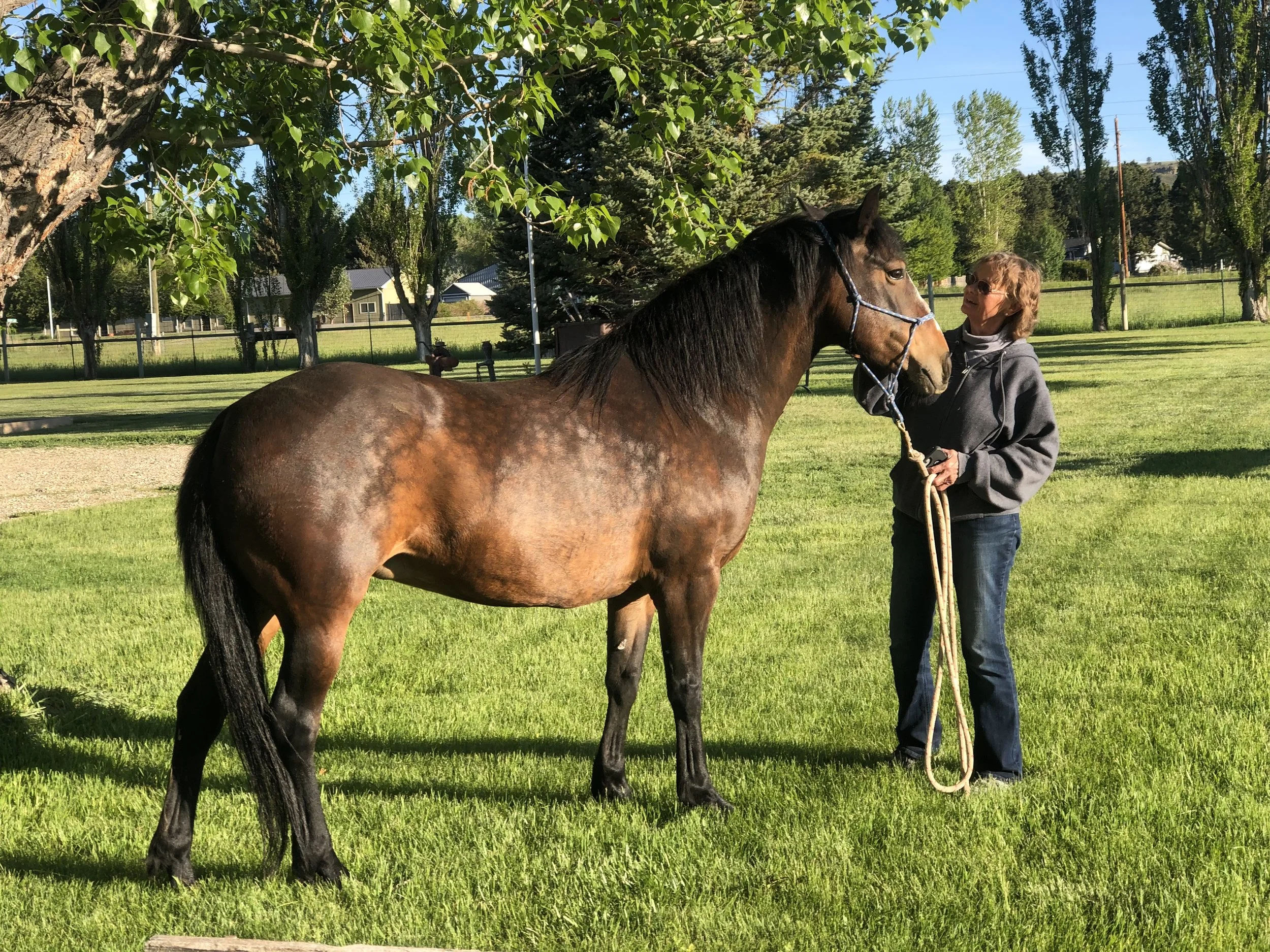 Mirabella’s Journey