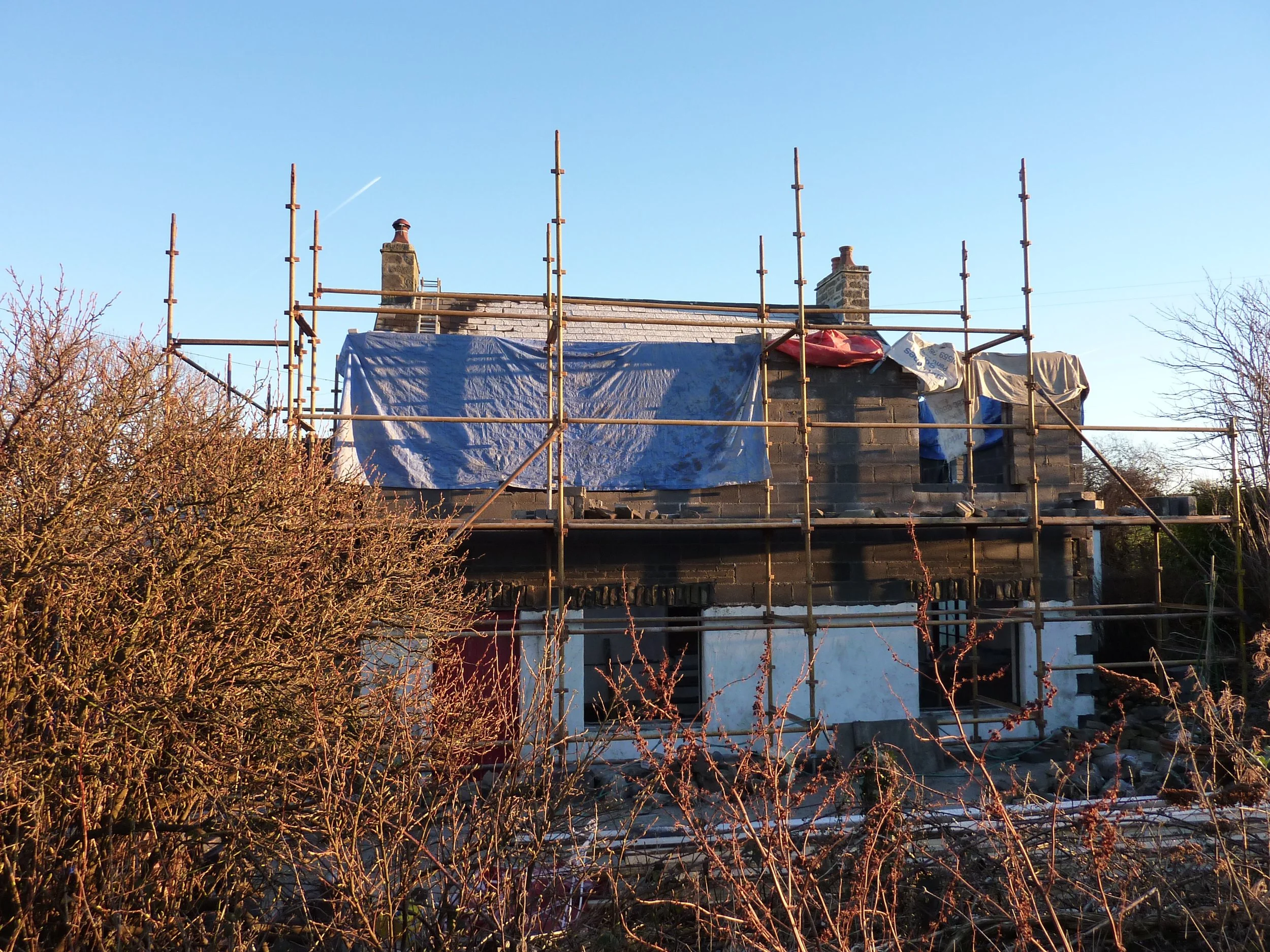 House under renovation with scaffolding surrounding it and a blue tarp covering part of the roof, with leafless bushes in the foreground and a clear blue sky in the background.