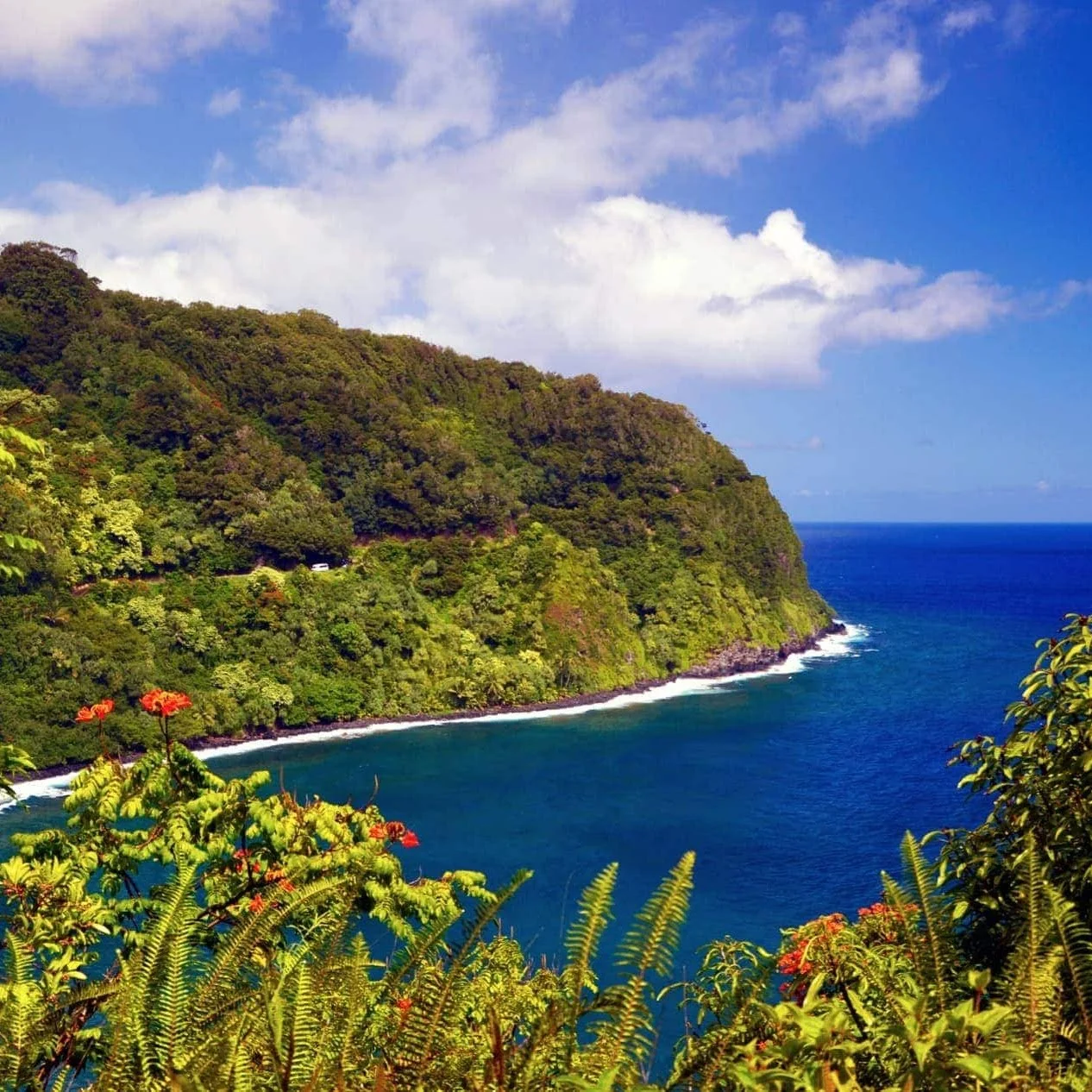 A picture of Maui