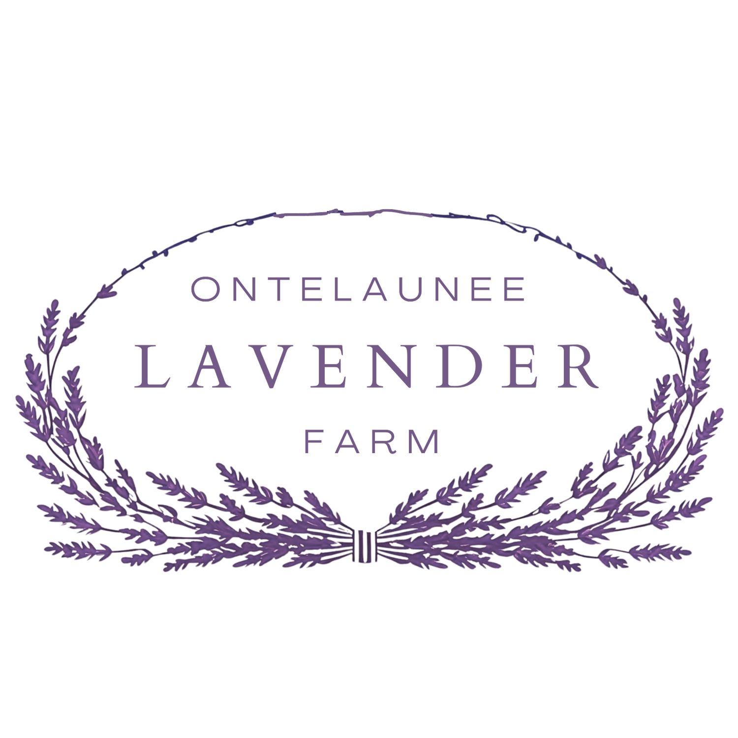 Ontelaunee Lavender Farm