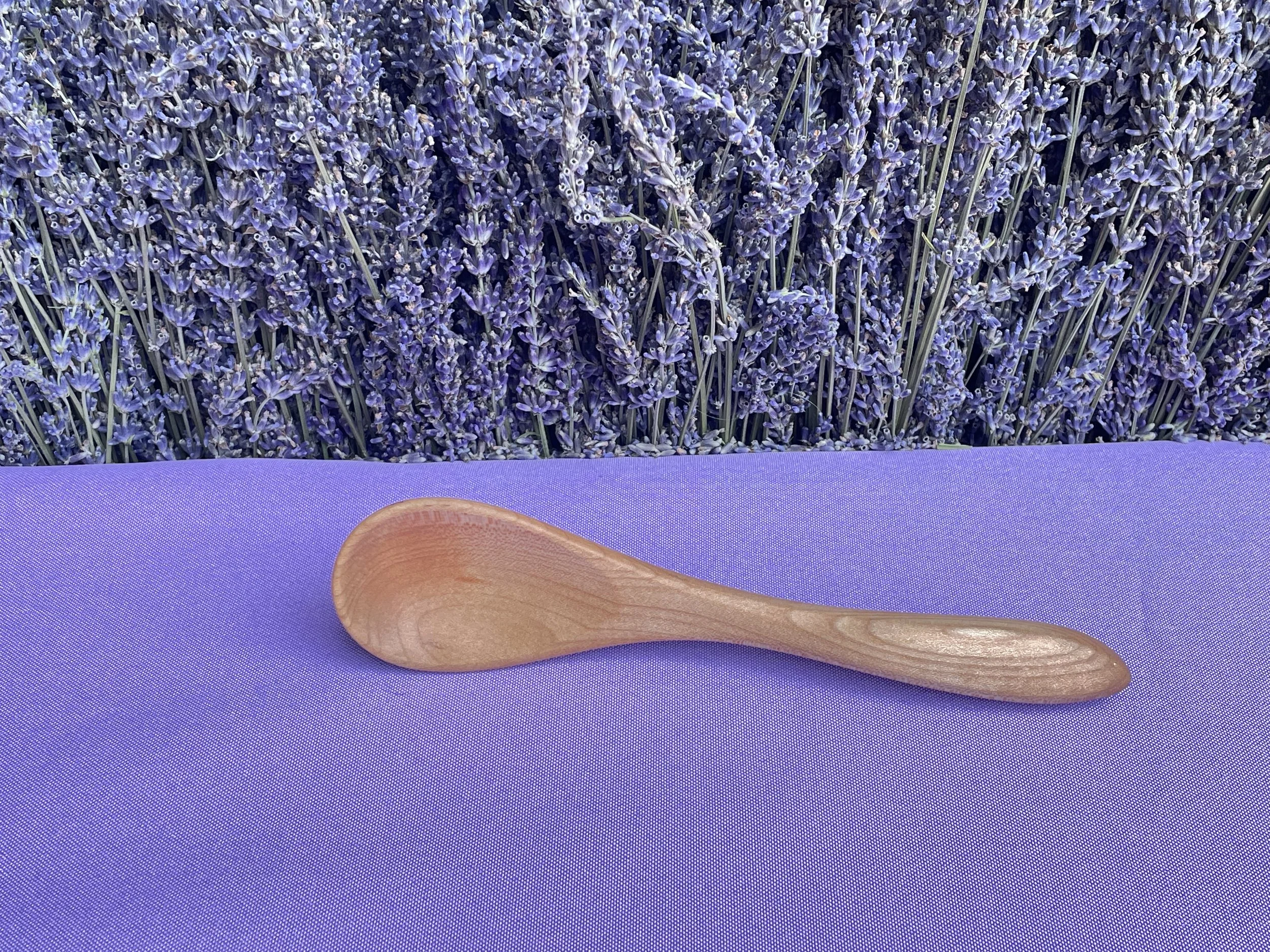 Salsa Spoon