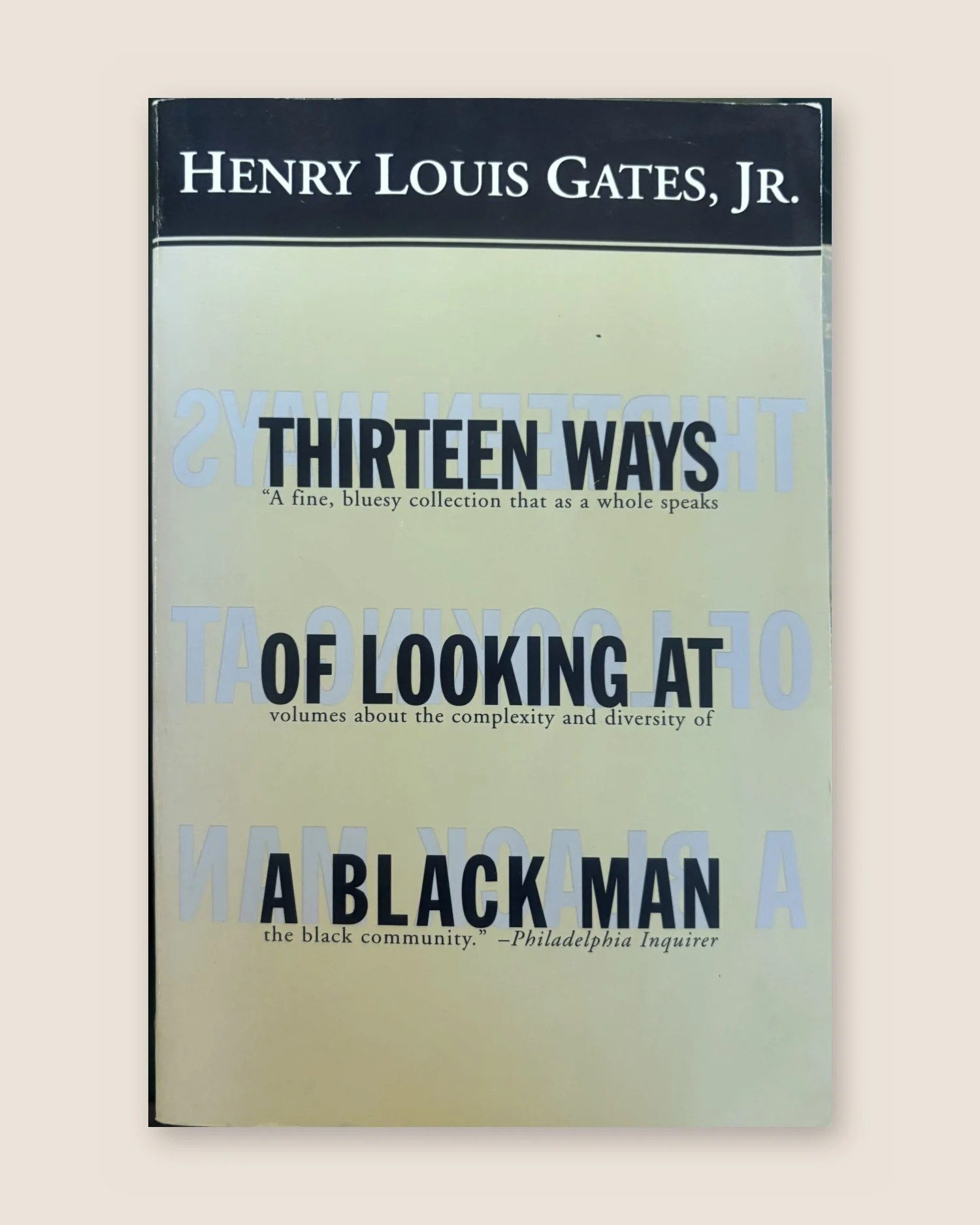 Thirteen Ways of Looking at a Black Man