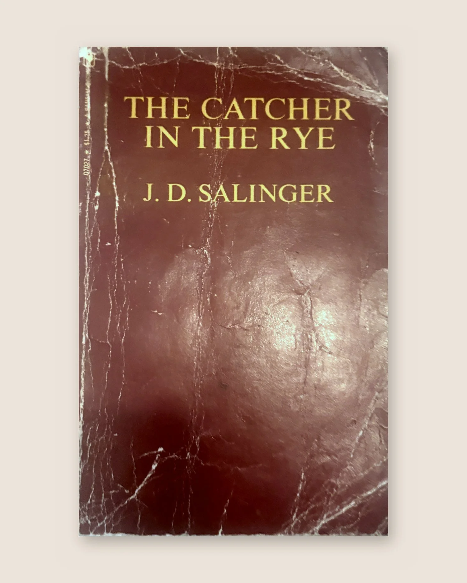 The Catcher in the Rye