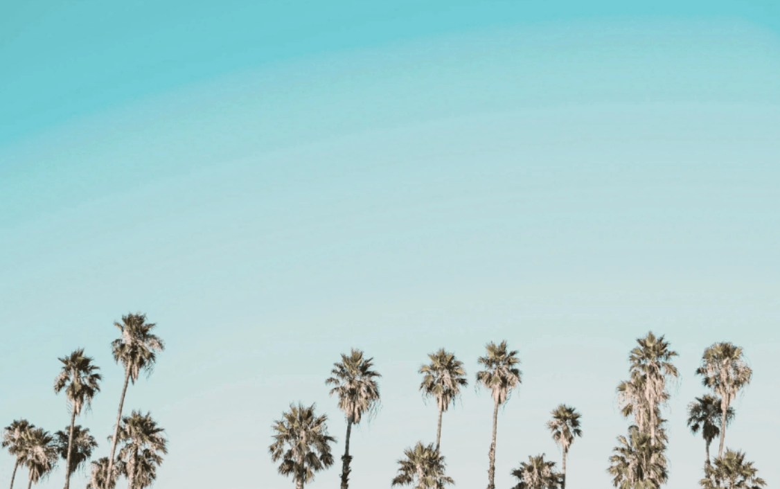 Somatic Therapist Los Angeles: Healing That Starts With Your Body