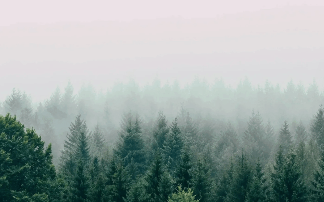 What Does a Somatic Therapy Session Actually Feel Like?