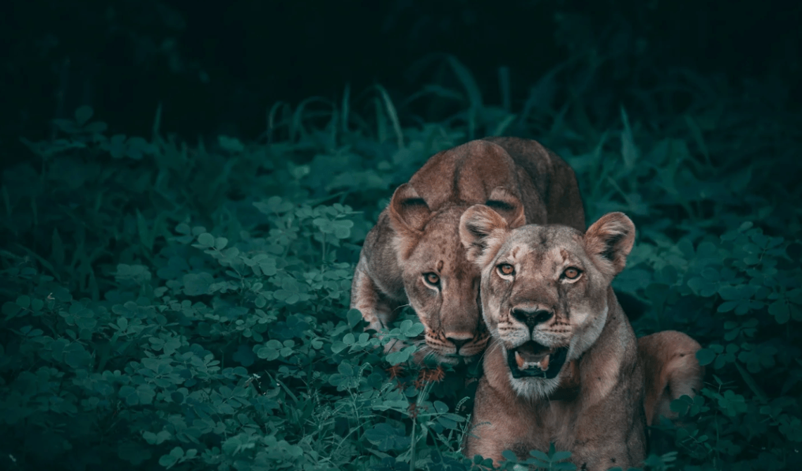 How Trauma Gets Stored in the Body (And How to Release It)