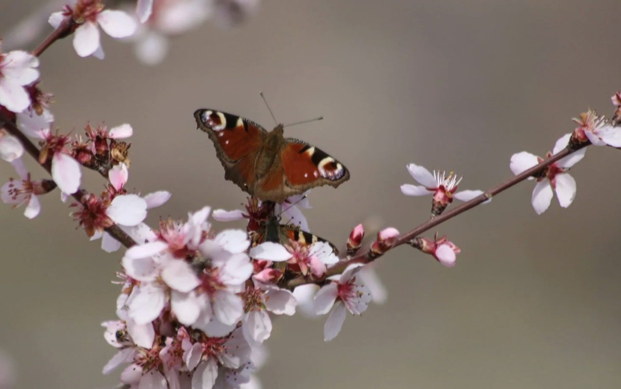 Wondering if you're having a midlife crisis? Discover the real signs, causes, and what actually helps.