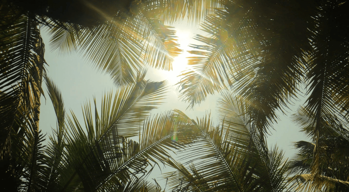 The Emotional Support That Changes Everything About Your Fertility Journey