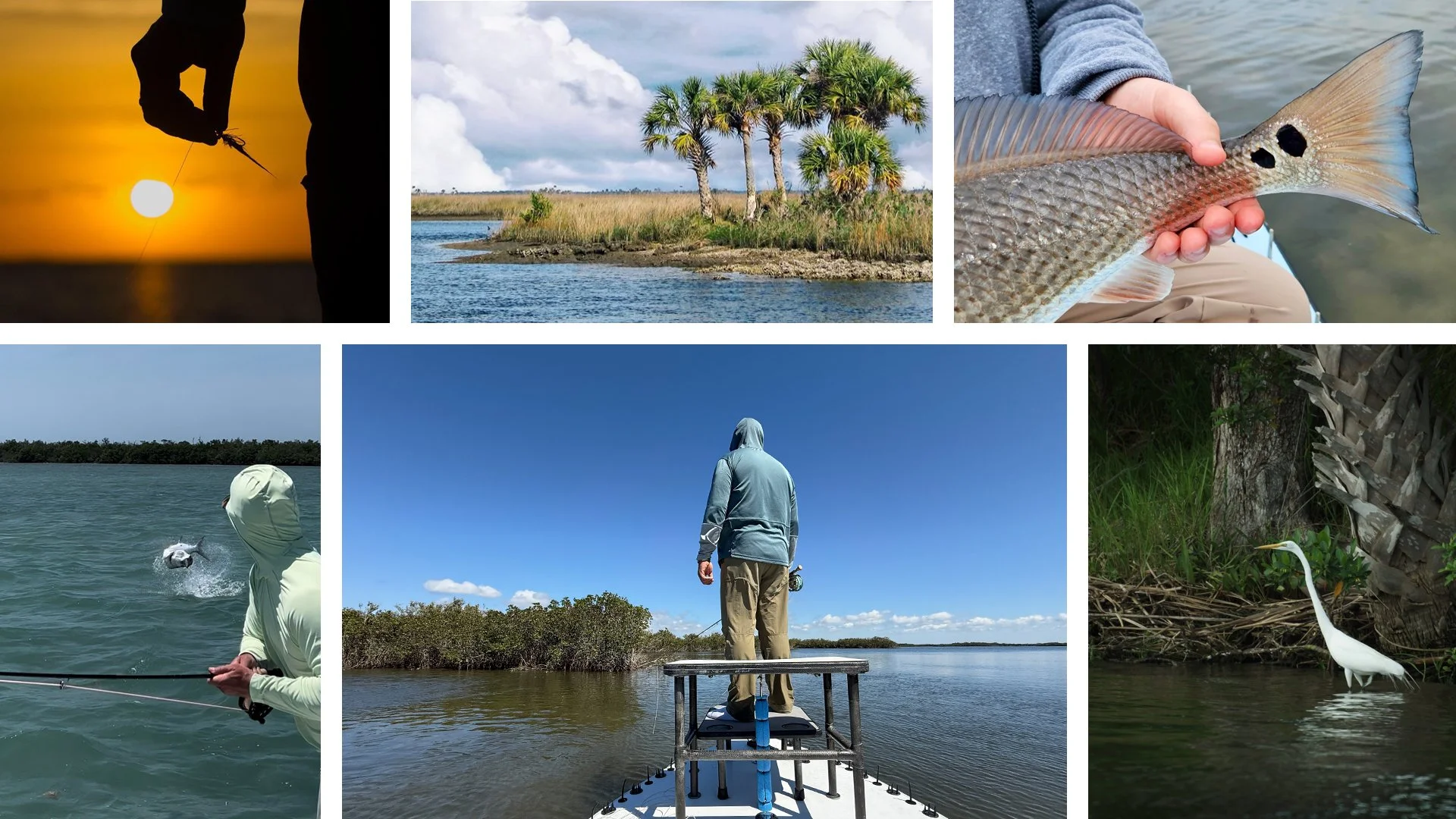 Fly fishing charters in Crystal River, FL for redfish, tarpon, and snook.