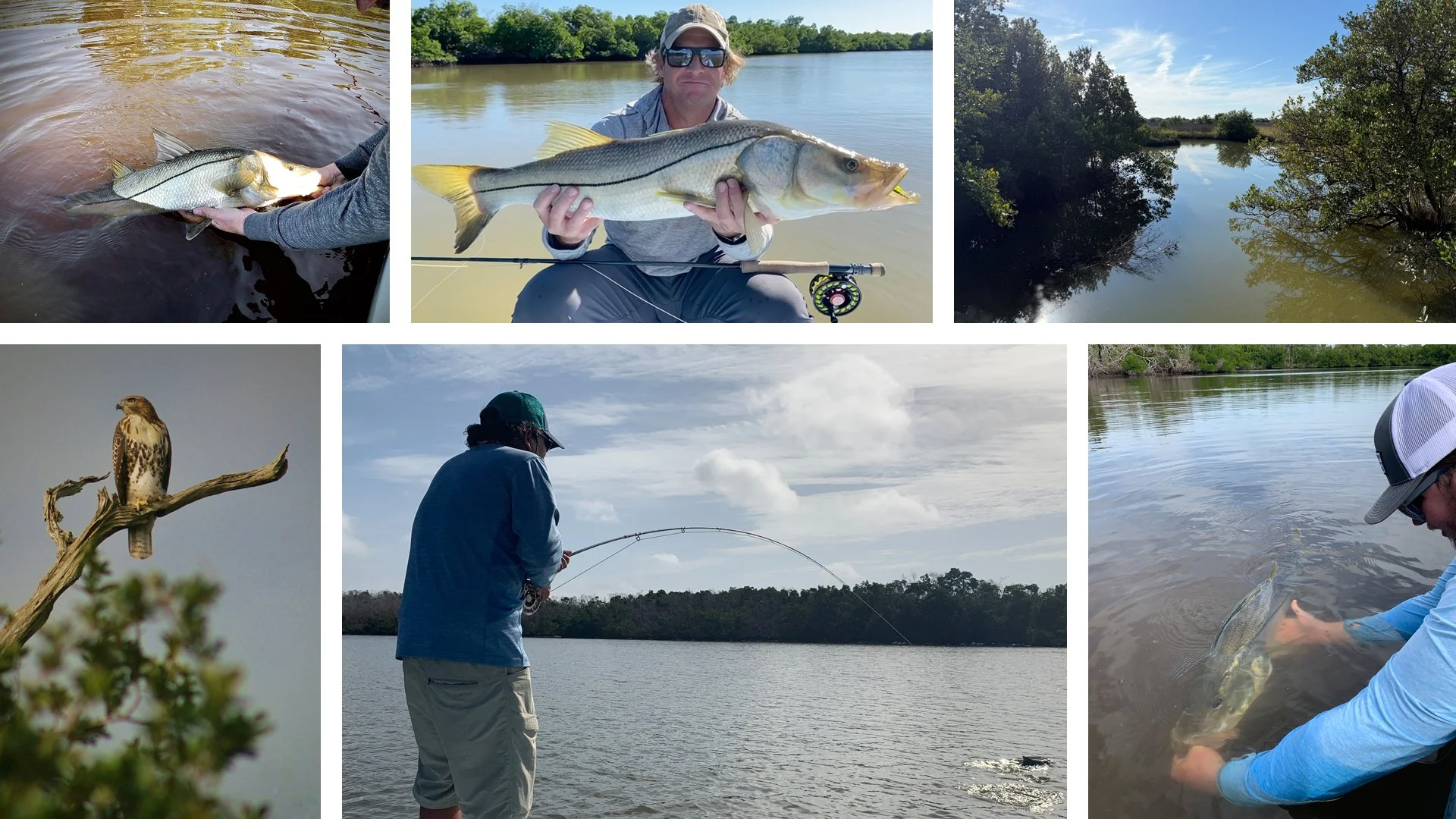 Nature Coast snook fly fishing charters near Homosassa, Crystal River, and Cedar Key, FL.