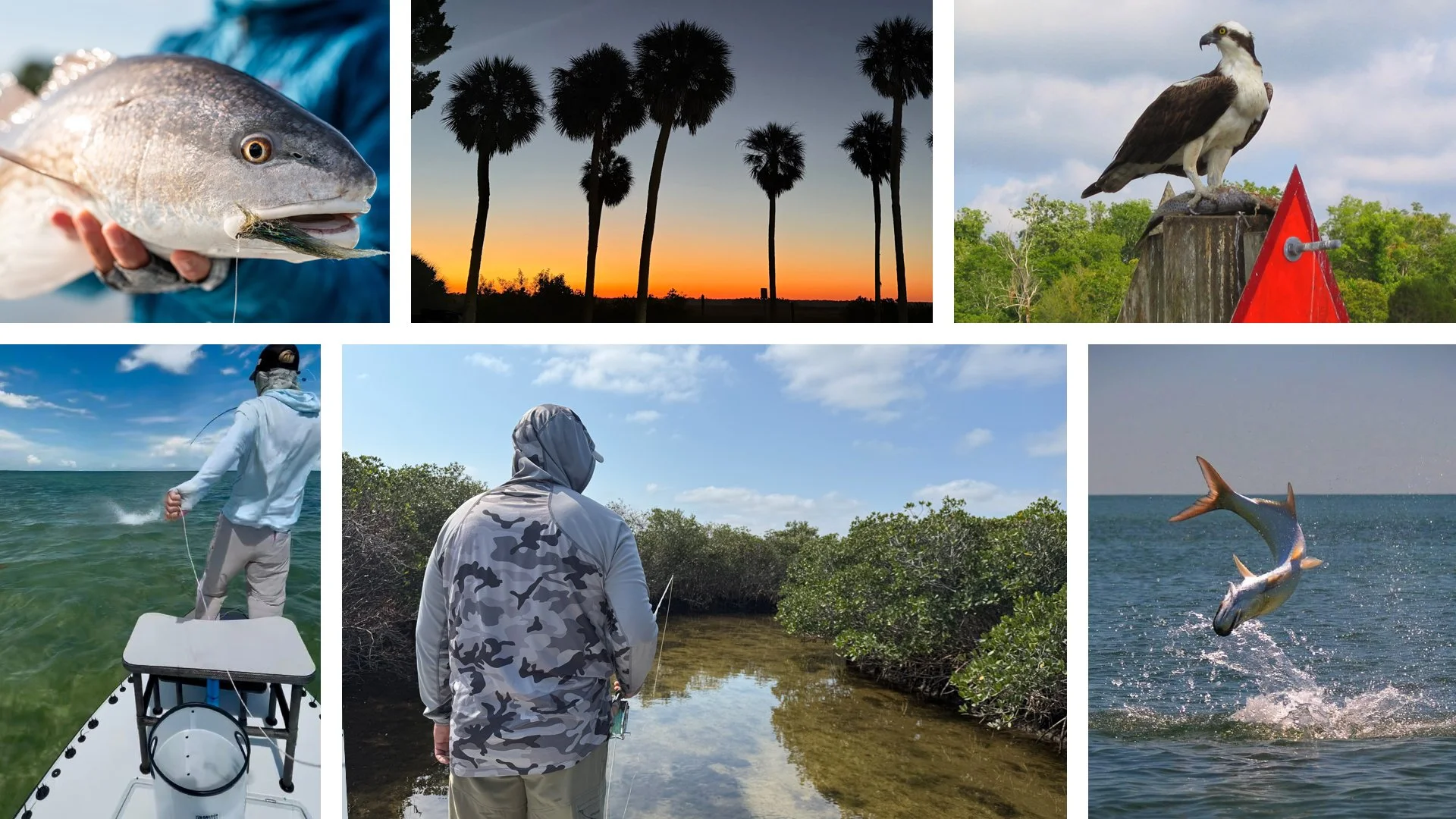 Fly fishing charters in Cedar Key, FL for redfish, tarpon, and snook.