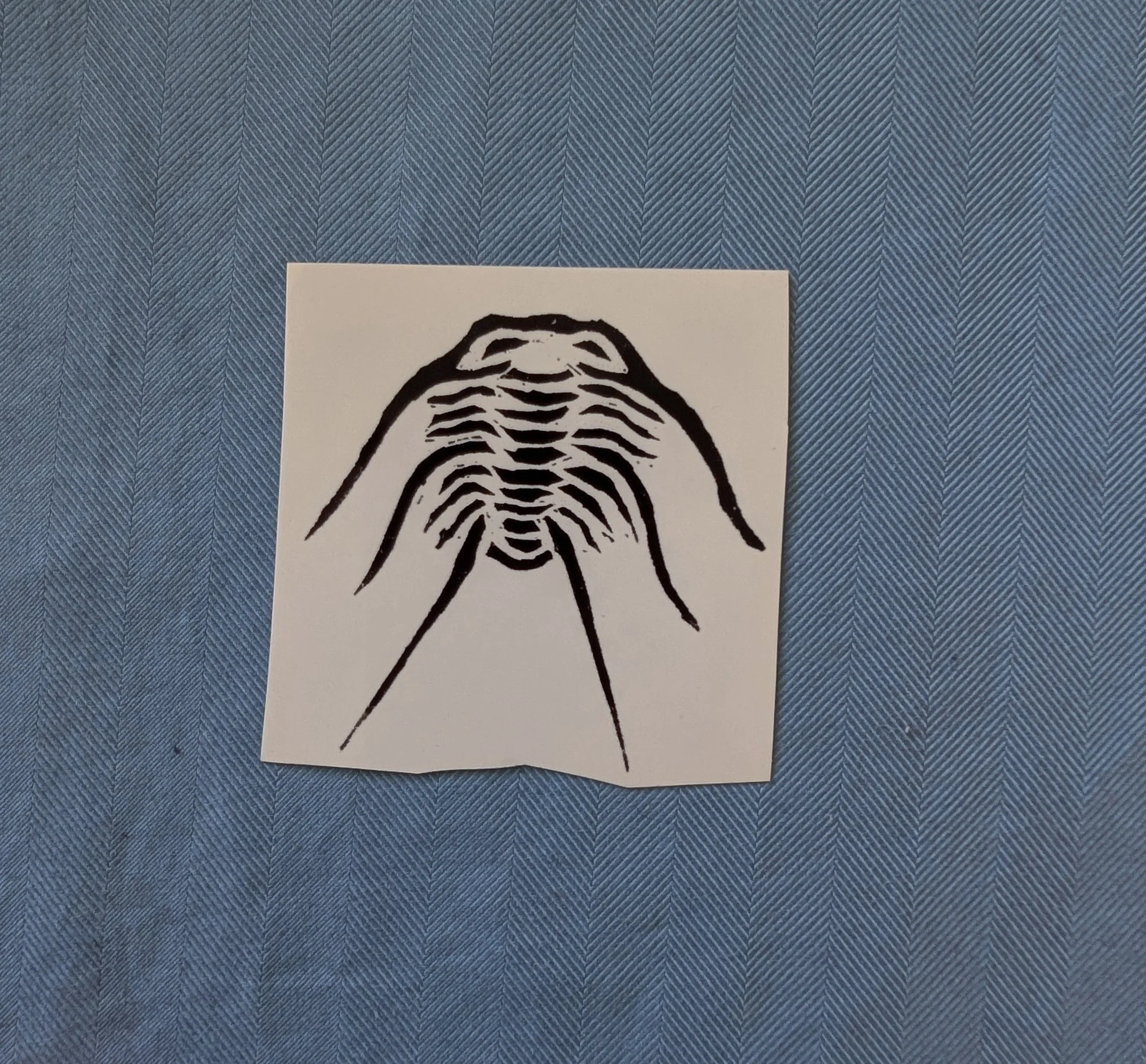 Trilobite Vinyl
