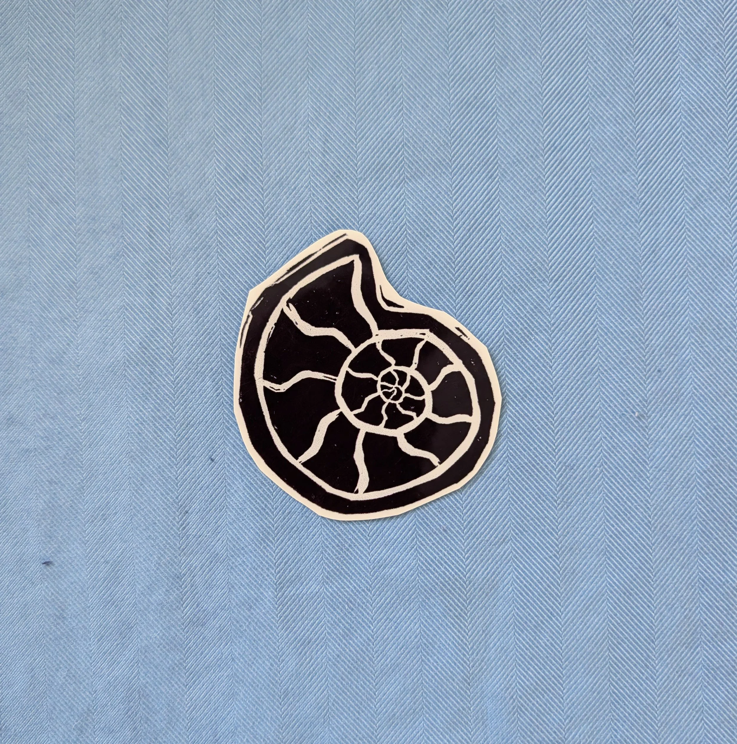 Ammonite