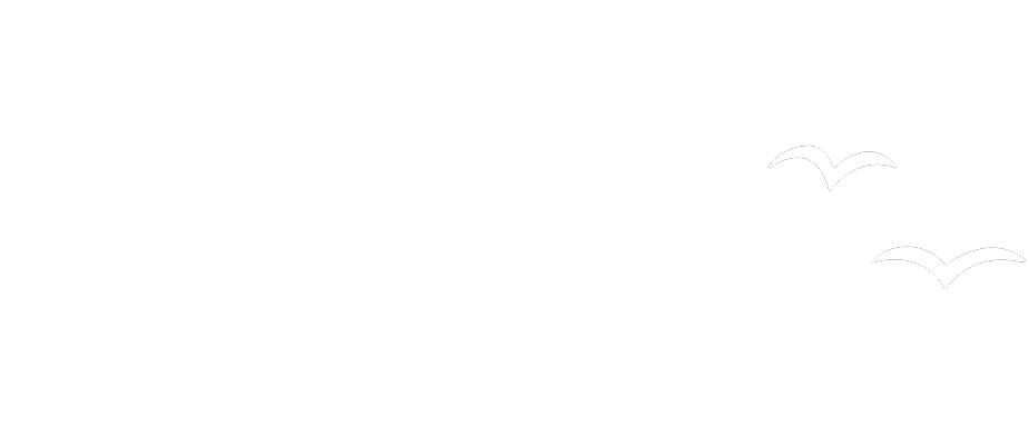Text graphic with large letters reading 'FLAT' and cursive text below saying 'And Free', with three seagulls flying in the background.