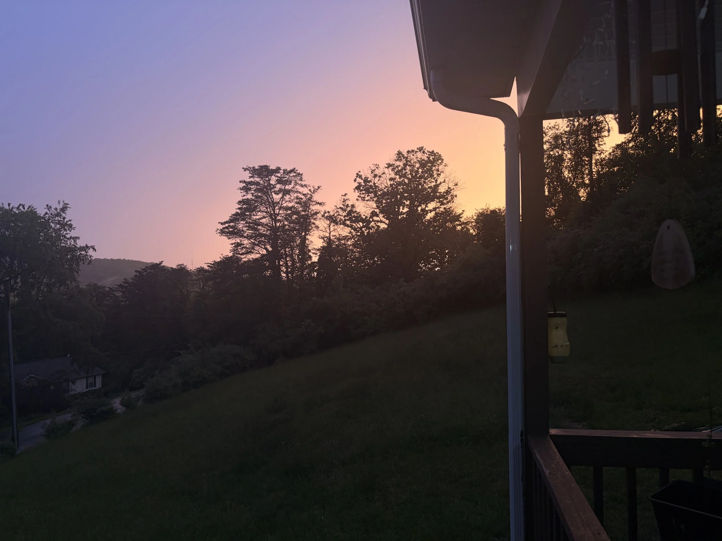 IMG_1483.jpeg