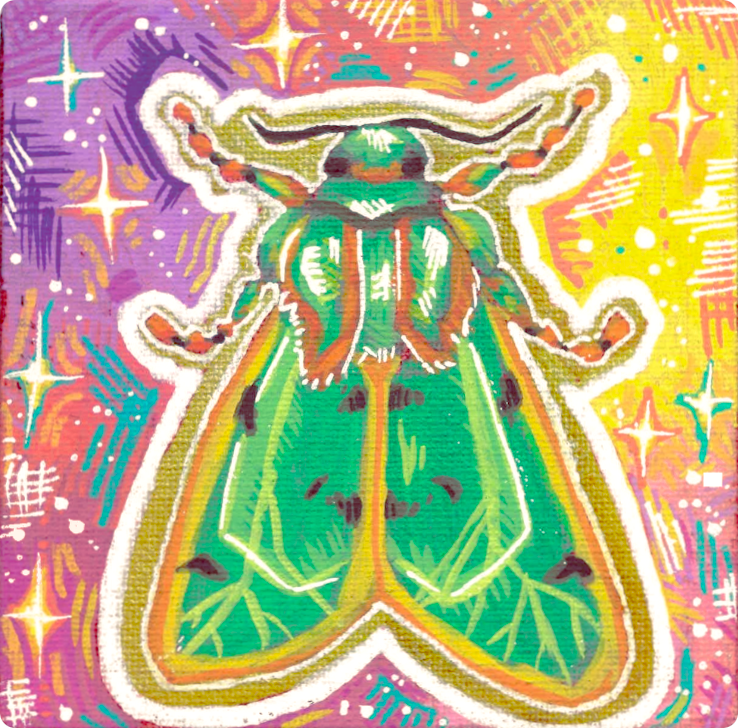 Tiger Moth (Chlorhoda tricolor)