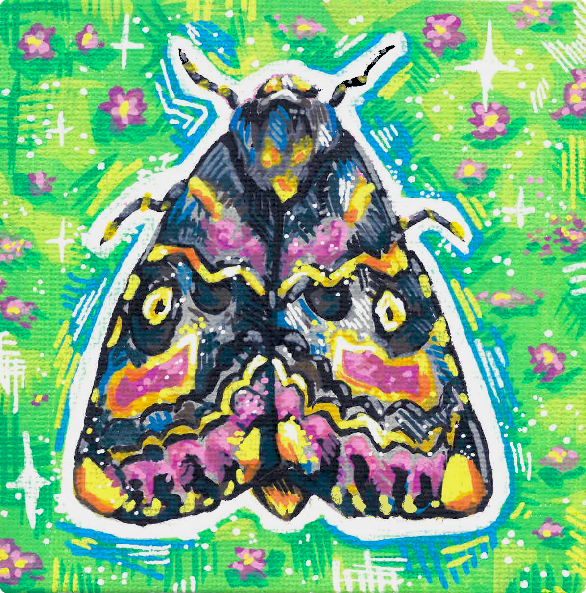 Lily Moth (Polytela gloriosae)