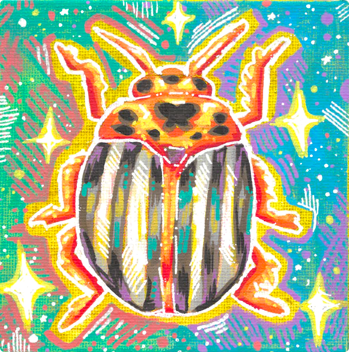 Colorado Potato Beetle (Leptinotarsa decemlineata)