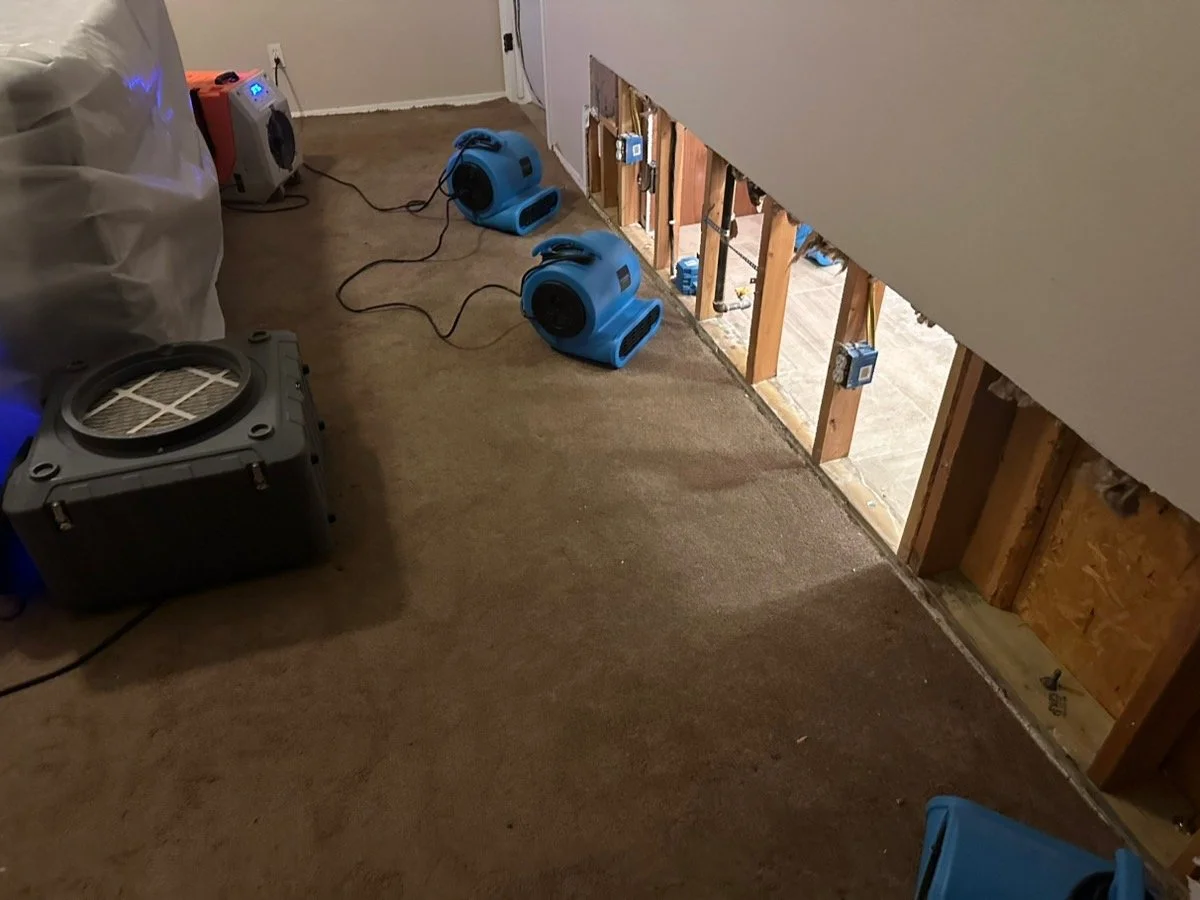 Dry out Master Bedroom
