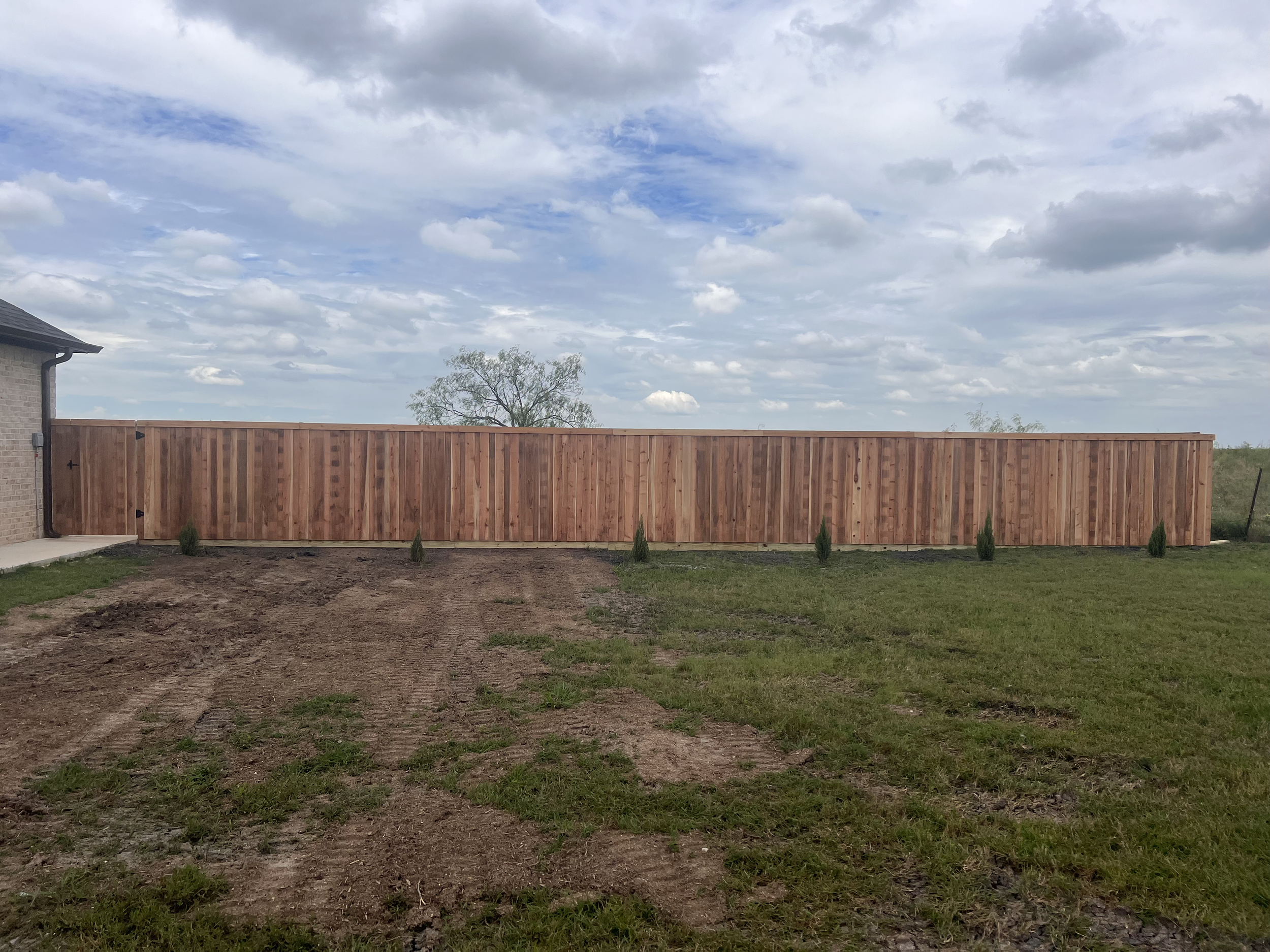 Custom Cedar Privacy Fence Fort Worth Texas