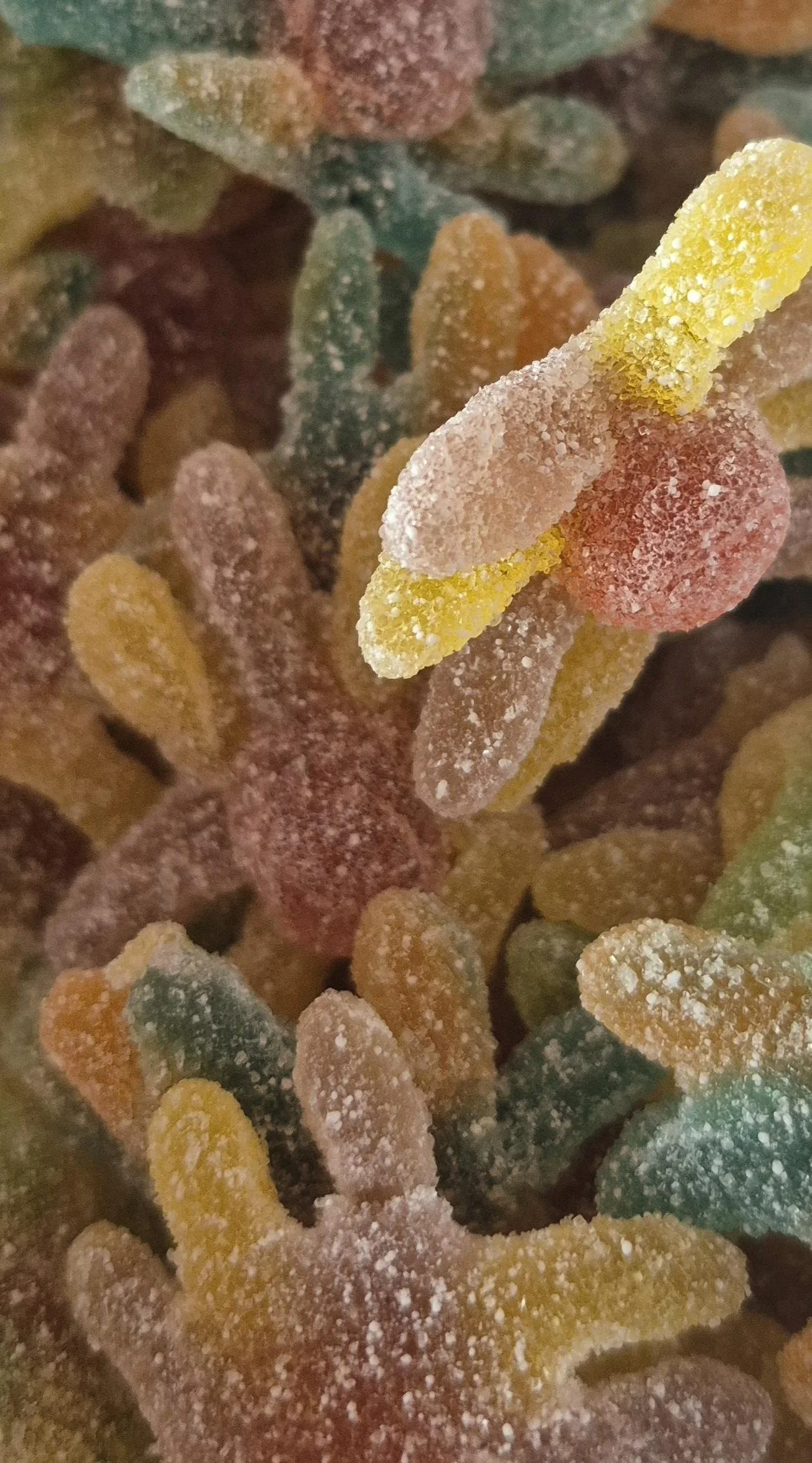 Sour octopus