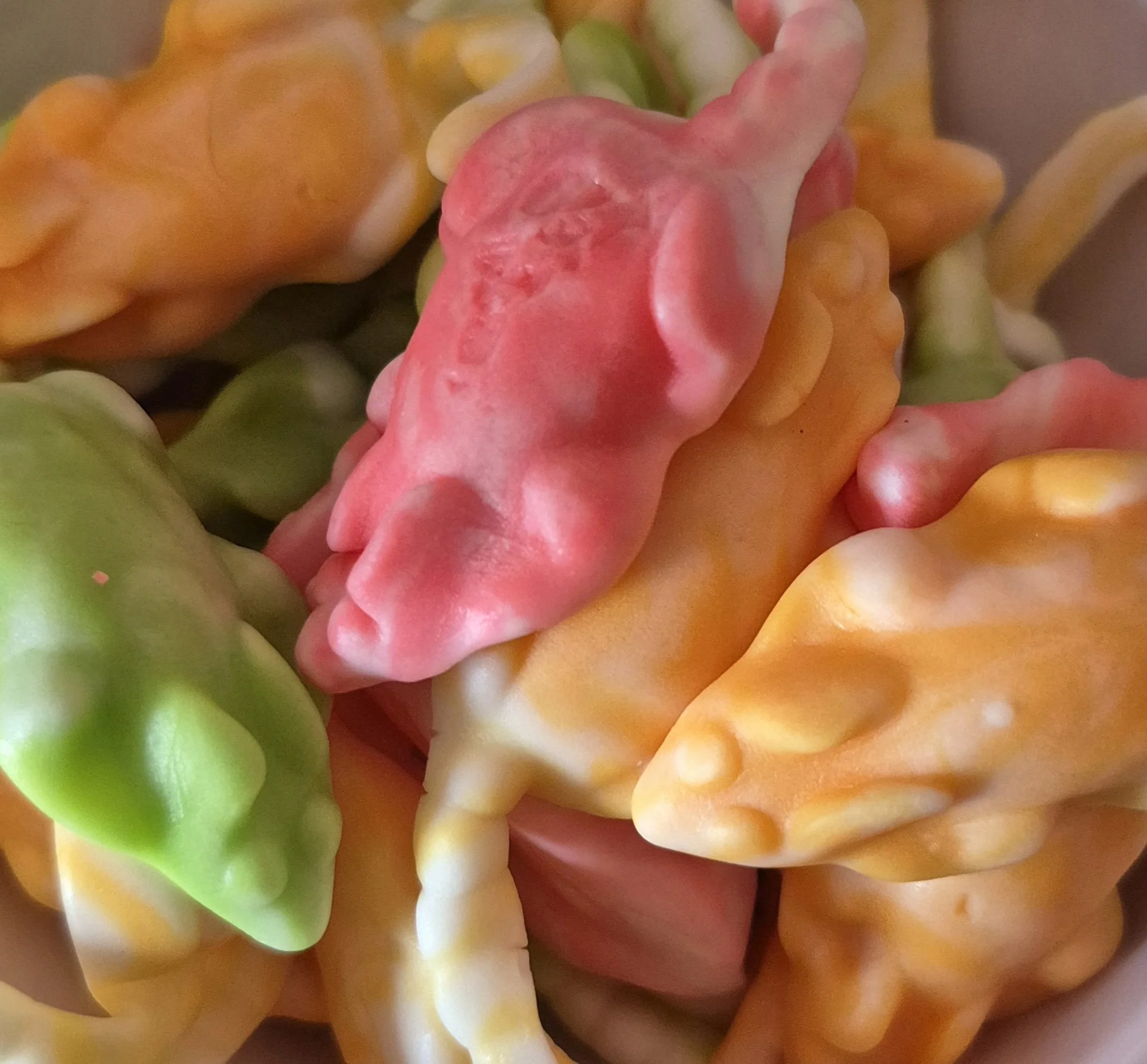 Multicoloured mice