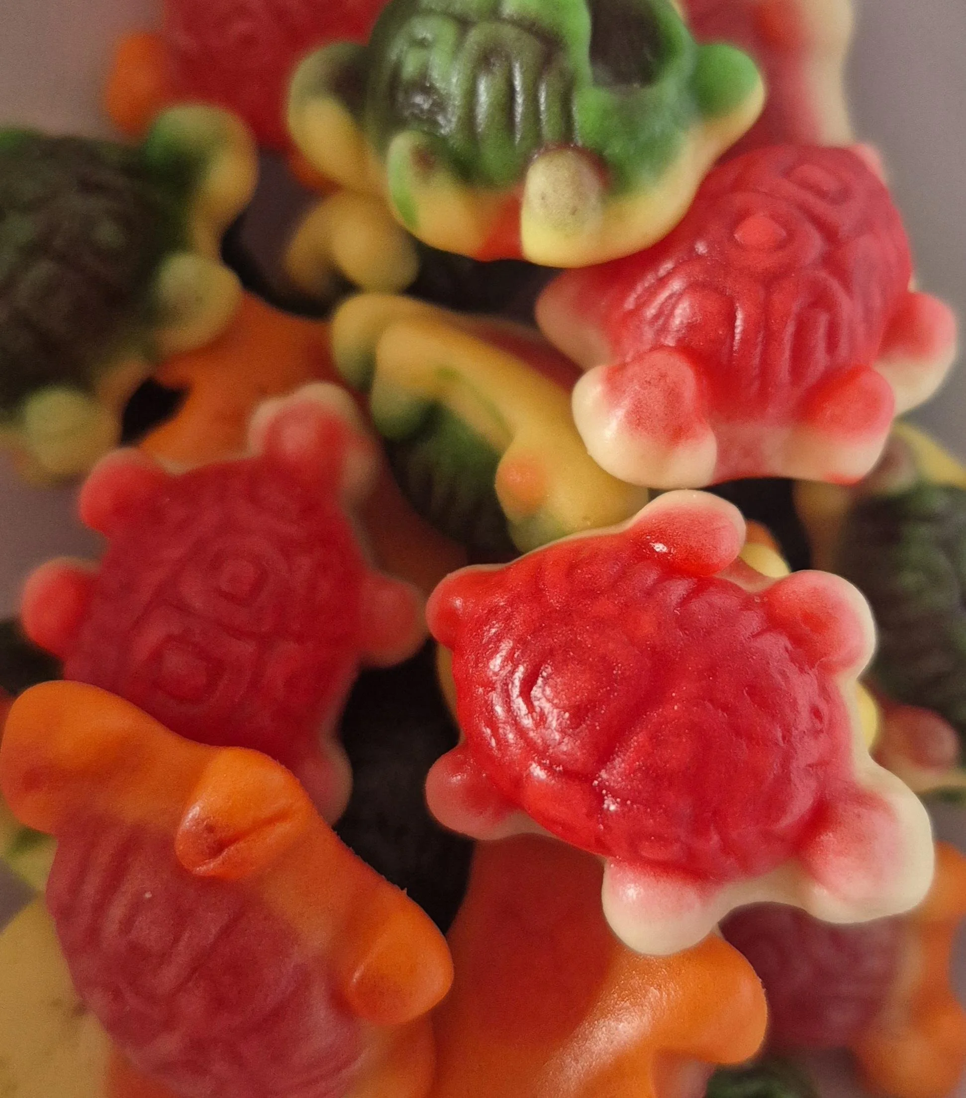 Jelly filled turtles