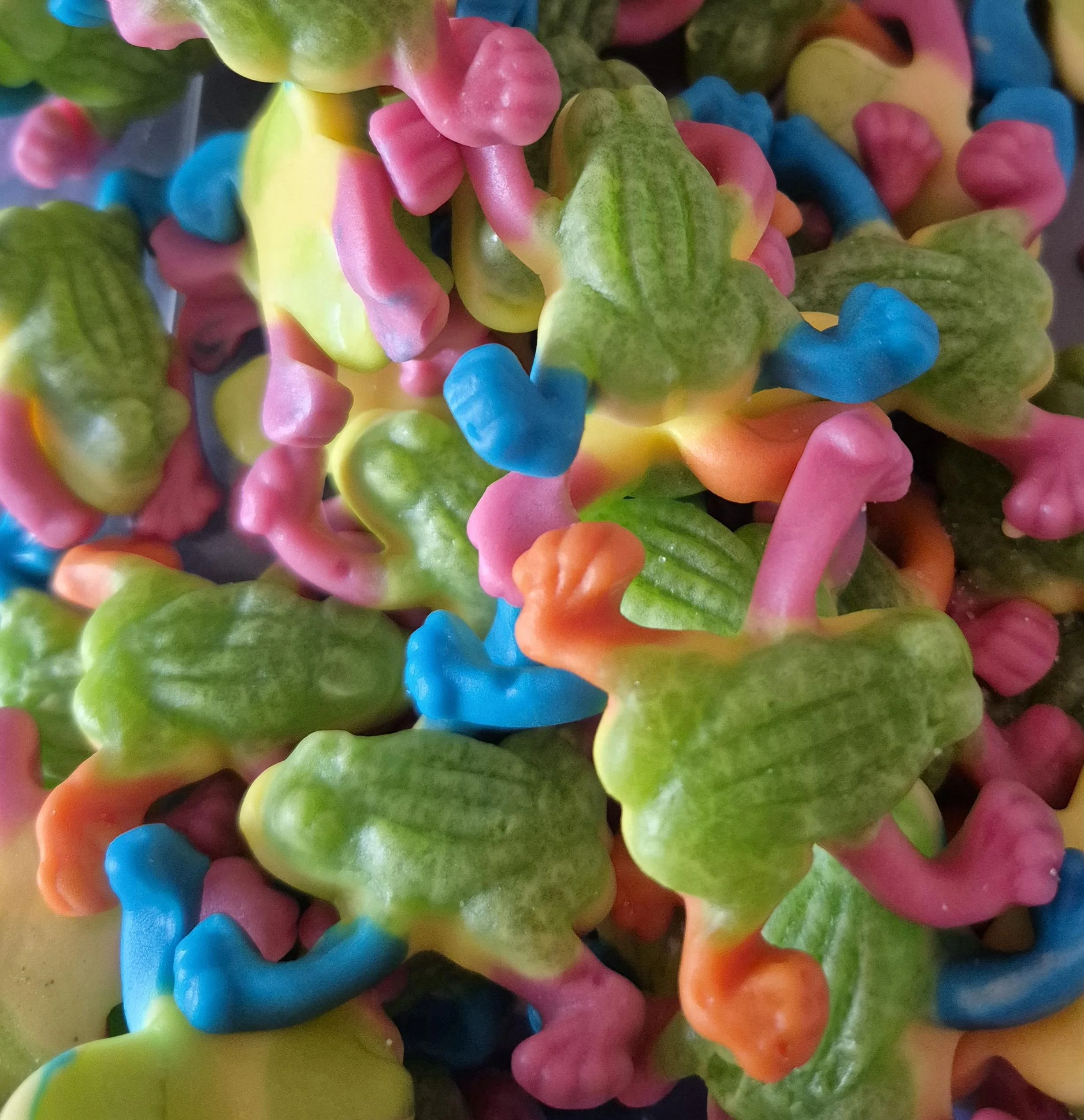 Jelly filled tropical frogs
