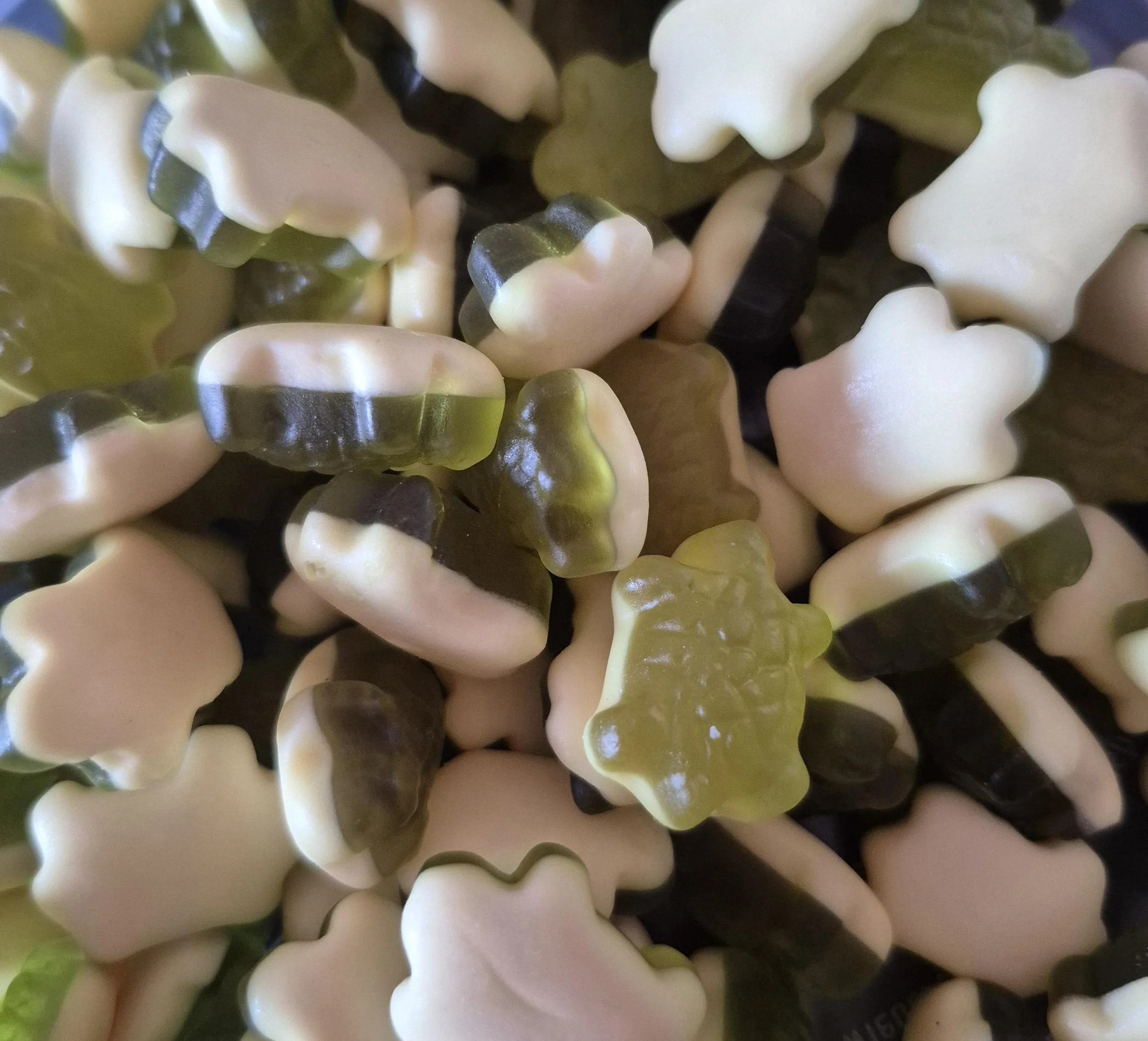 Haribo terrific turtles