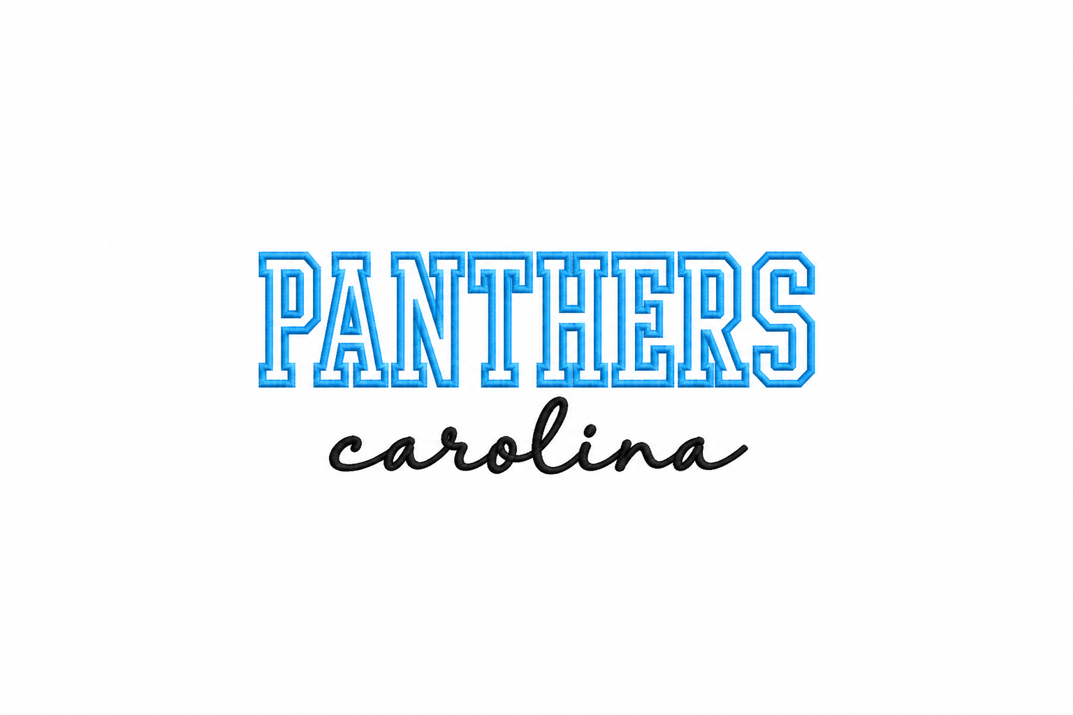PANTHERS Applique Football Sweatshirt