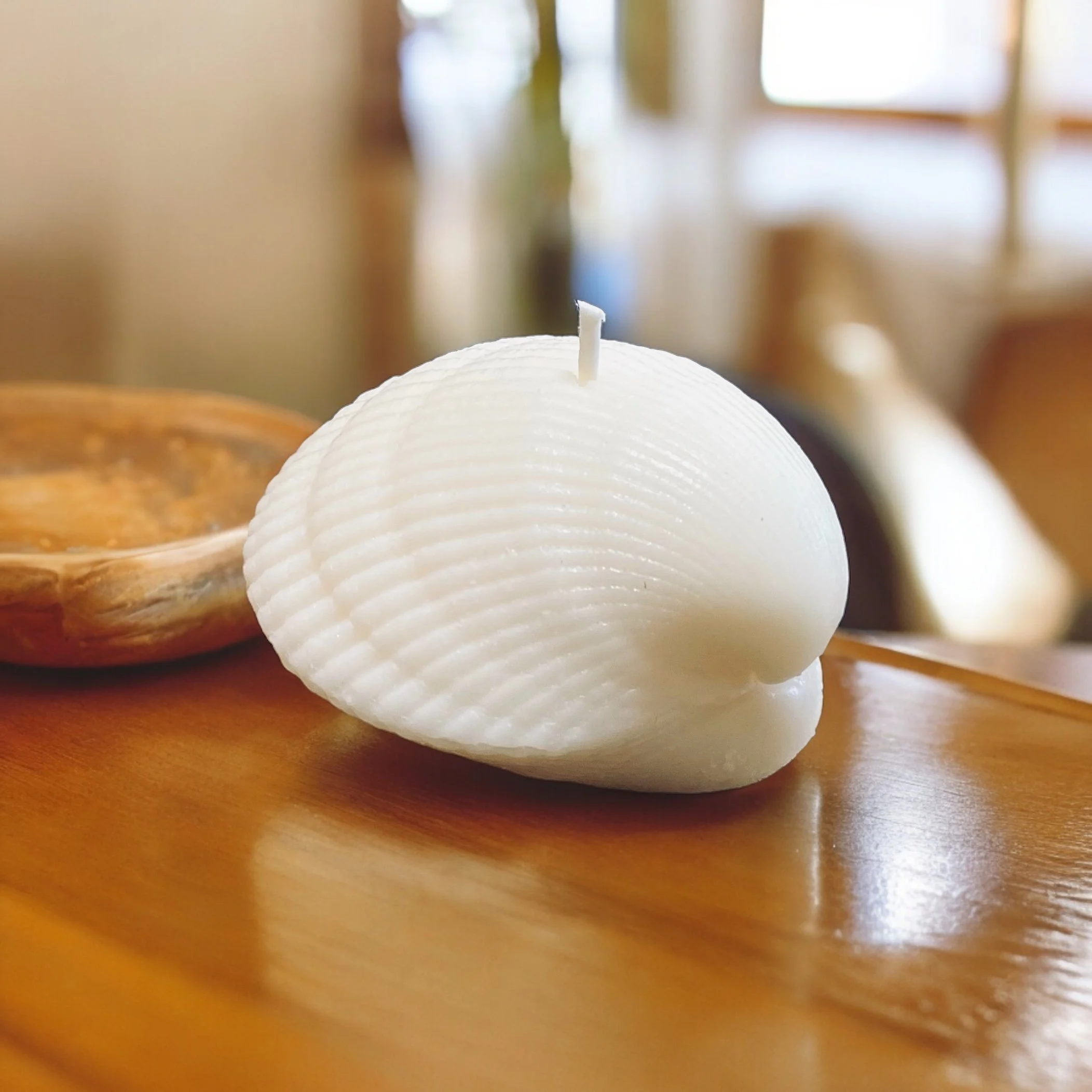 Cockle Clam votive candle