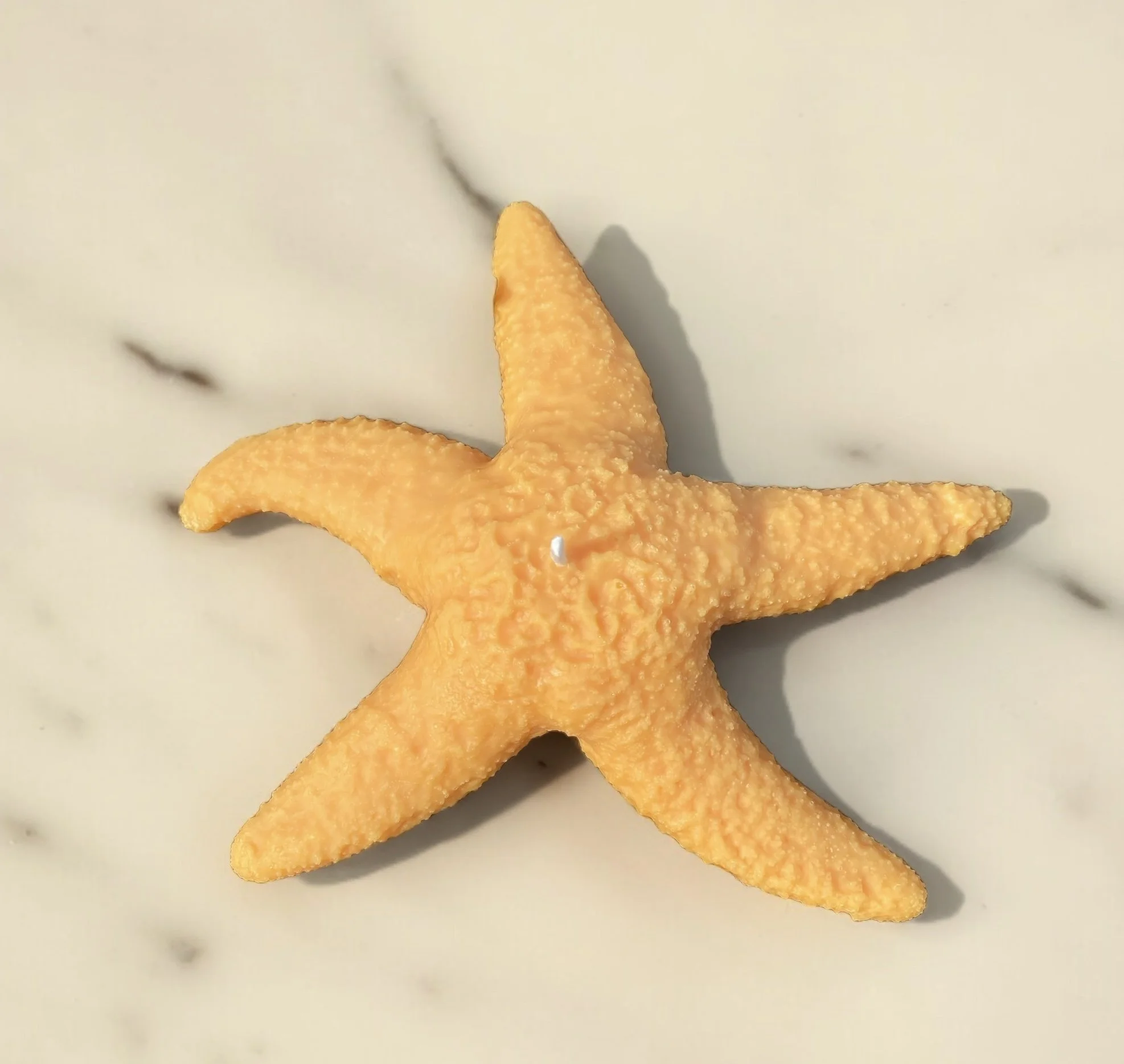Starfish candle