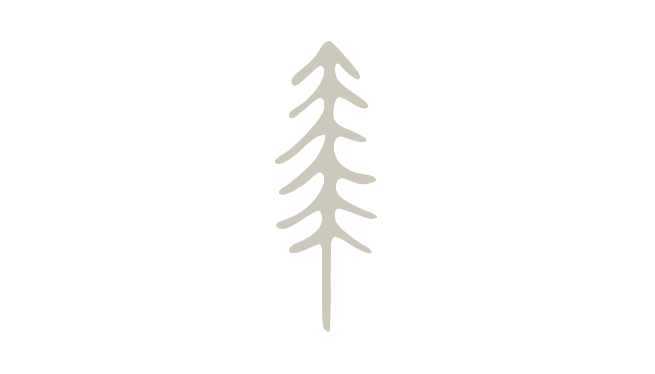 Salt &amp; Pine Cleaning Co. 