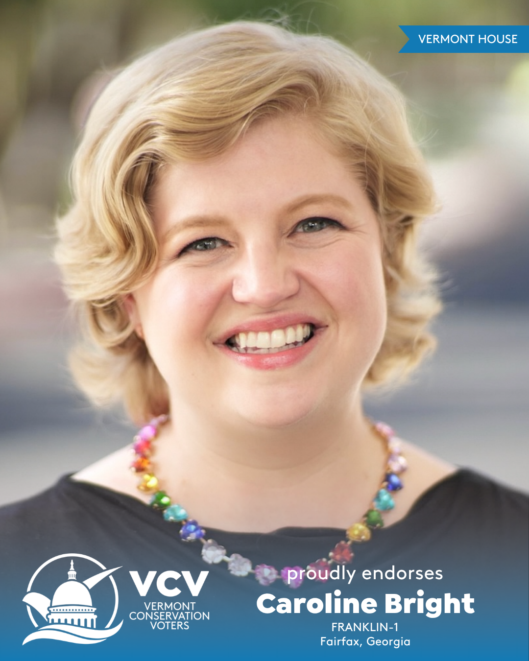 Endorsed by the Vermont Conservation Voters