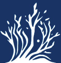 Hillary Cox - Author &amp; Illustrator