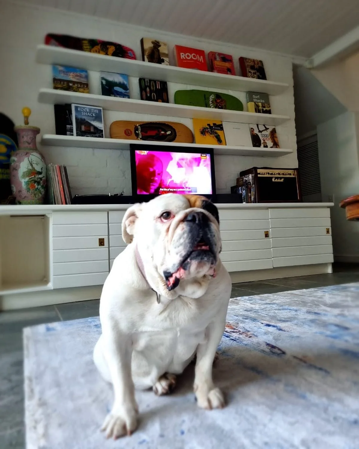 My favorite dog 🐶  Thanks so much for your support all years